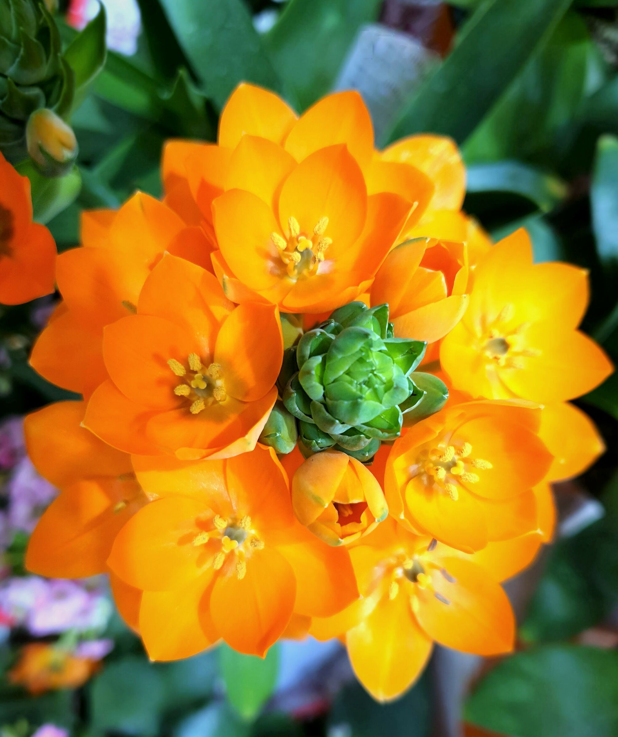 Aspettando la primavera