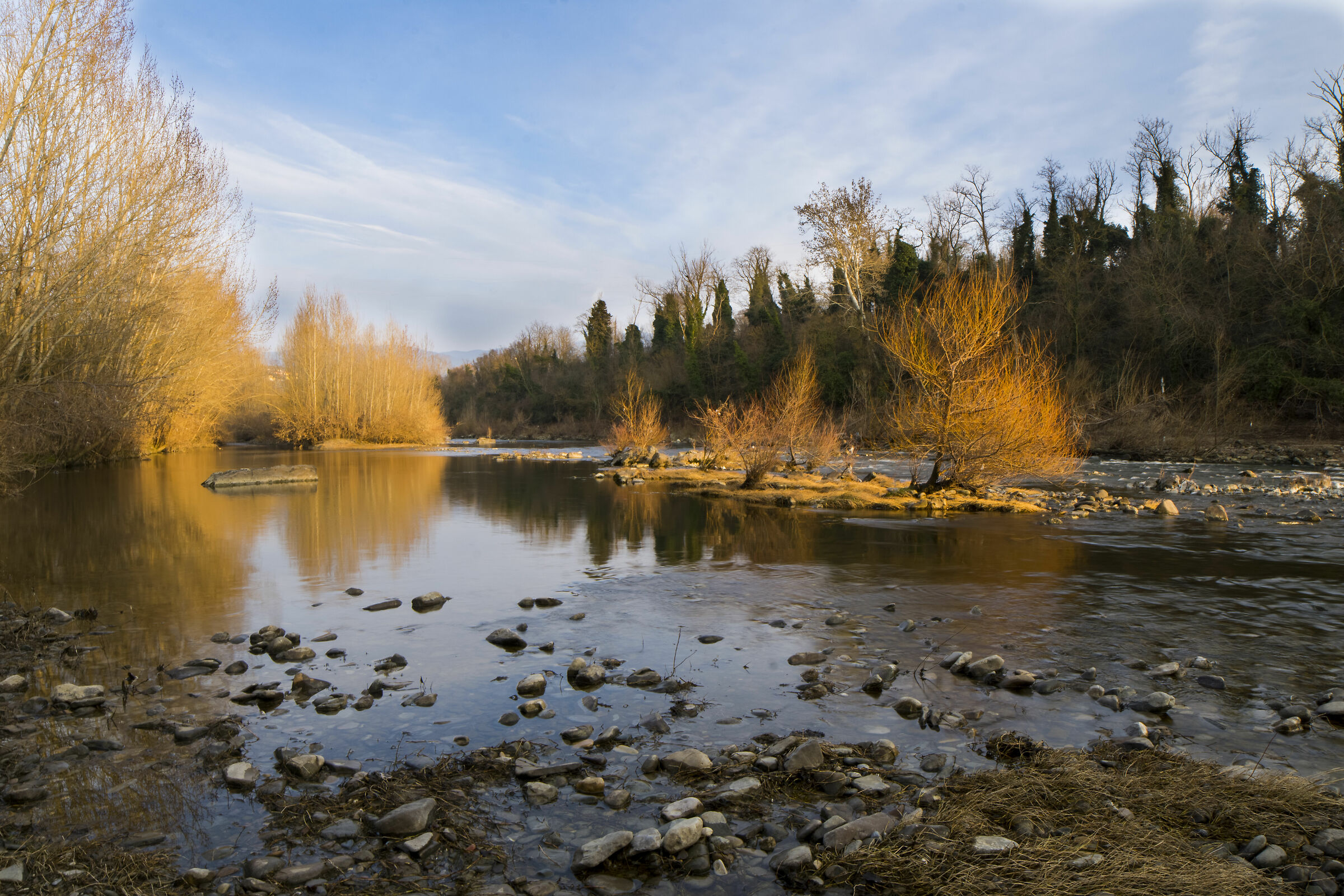 Sulle rive dell'Arno