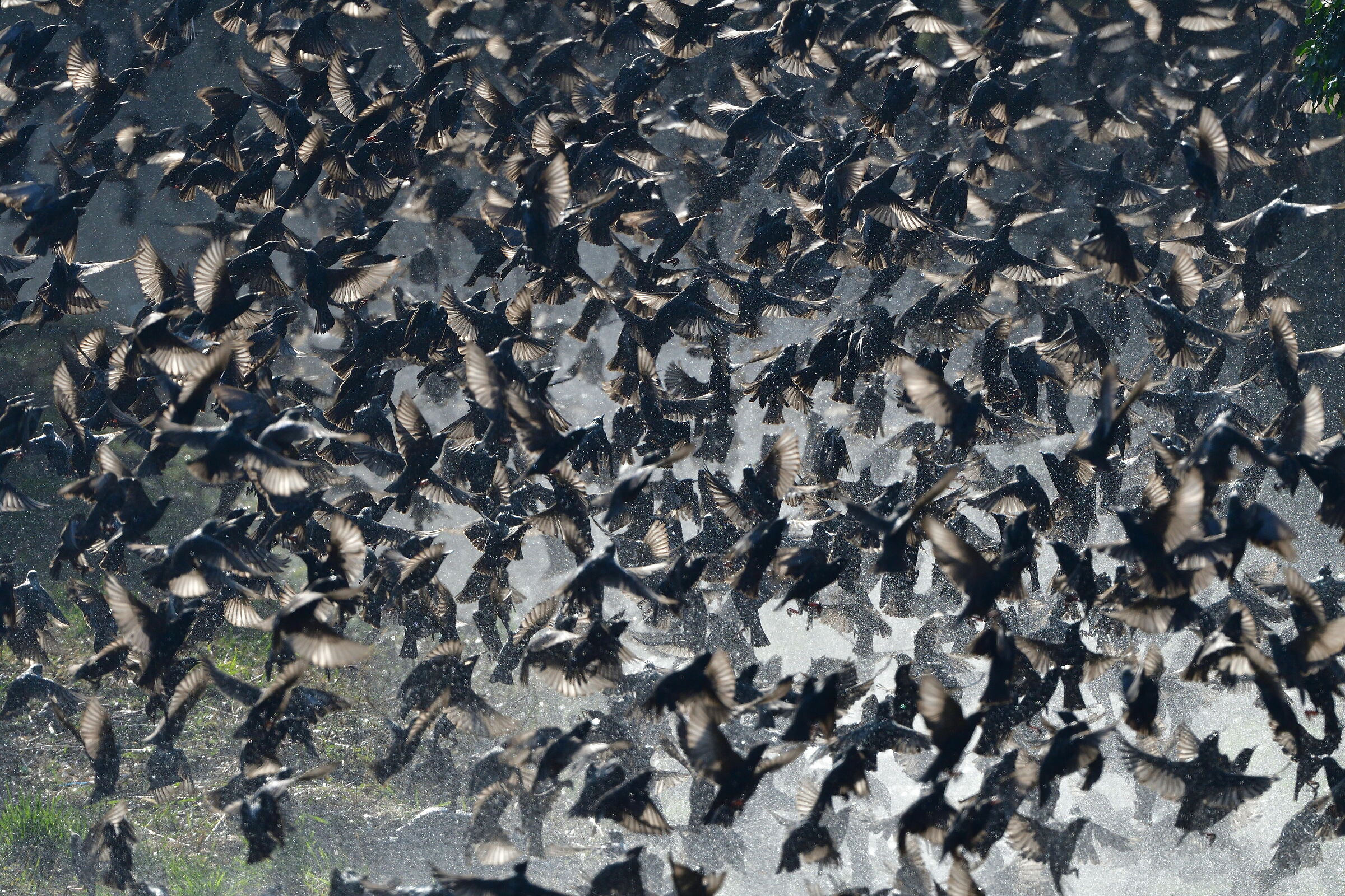 Transfers to the bathroom: a crowded. Iseo