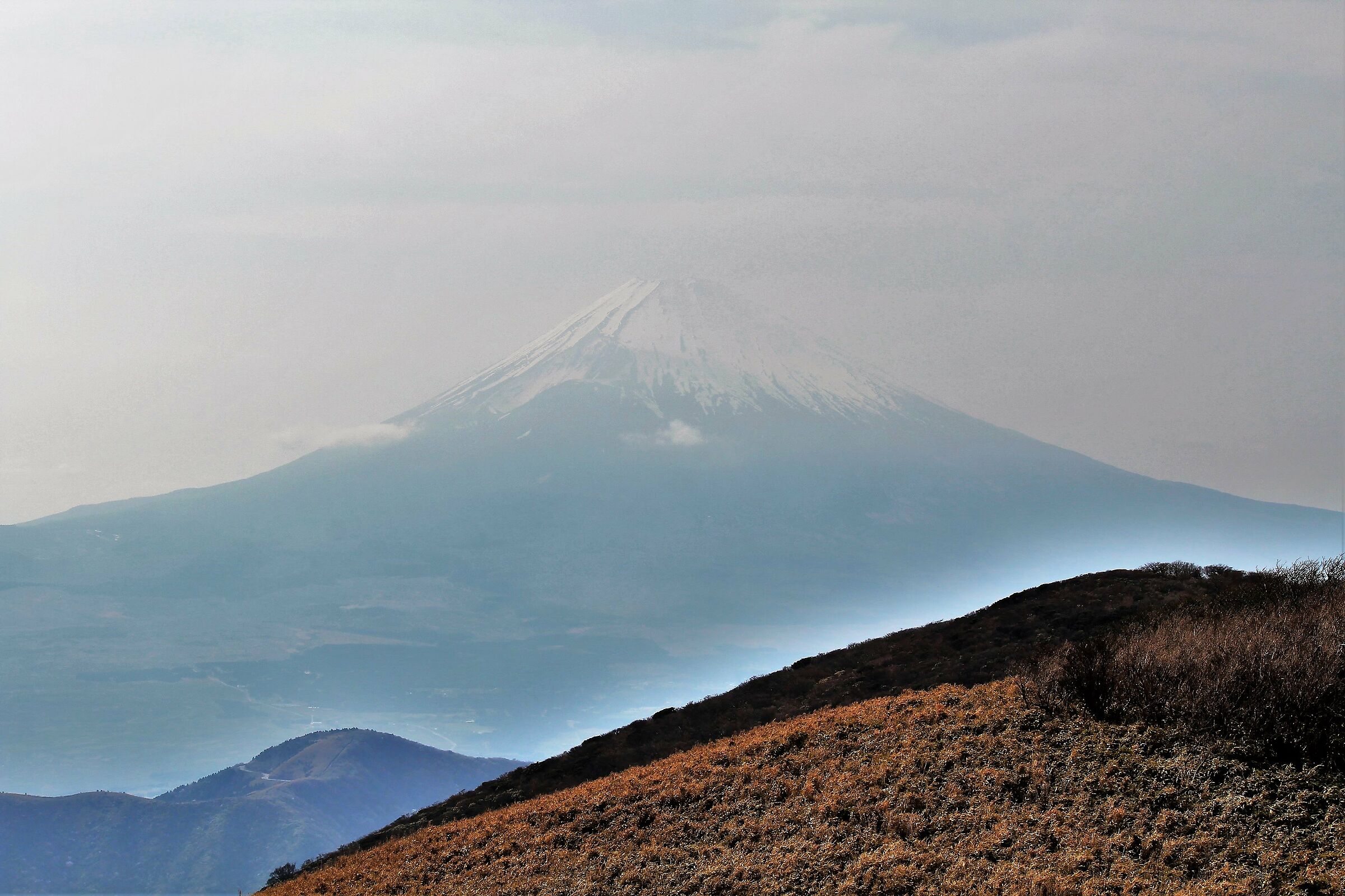 Fuji