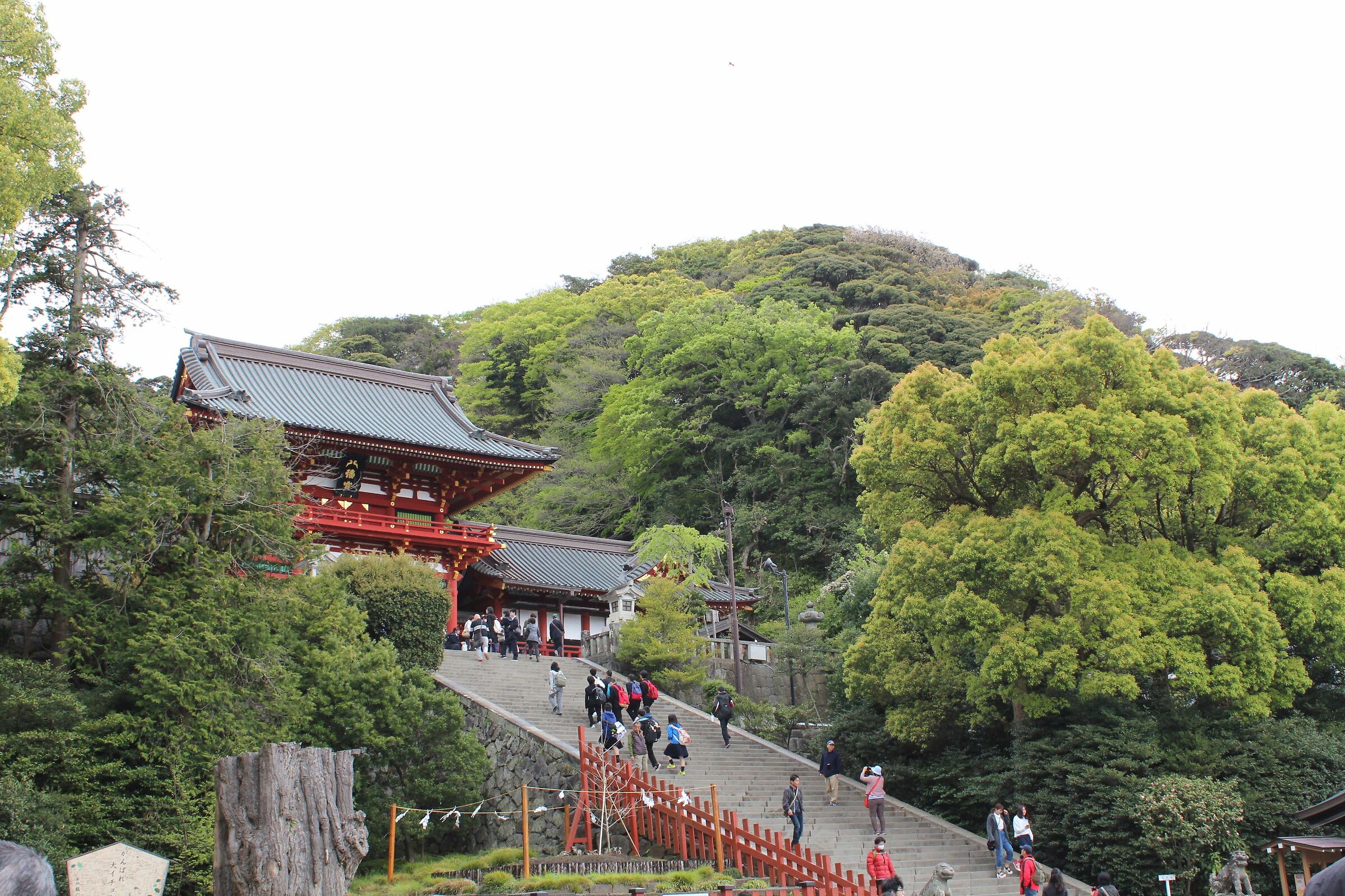Santuario di Kamakura Tsurugaoka Hachimangu