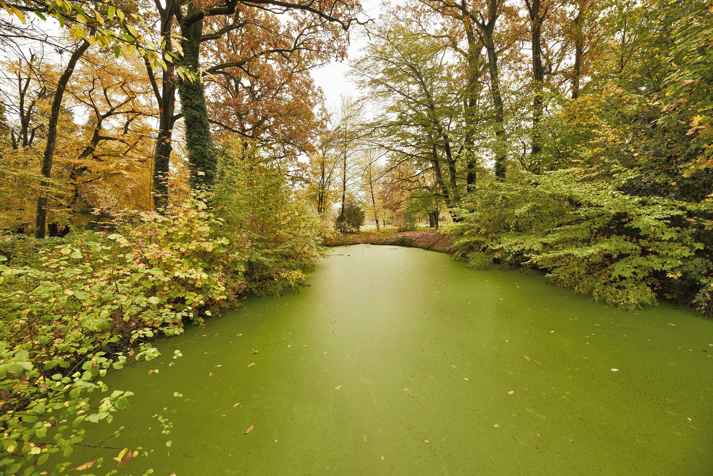 The park of Villa Badia-Laghetto