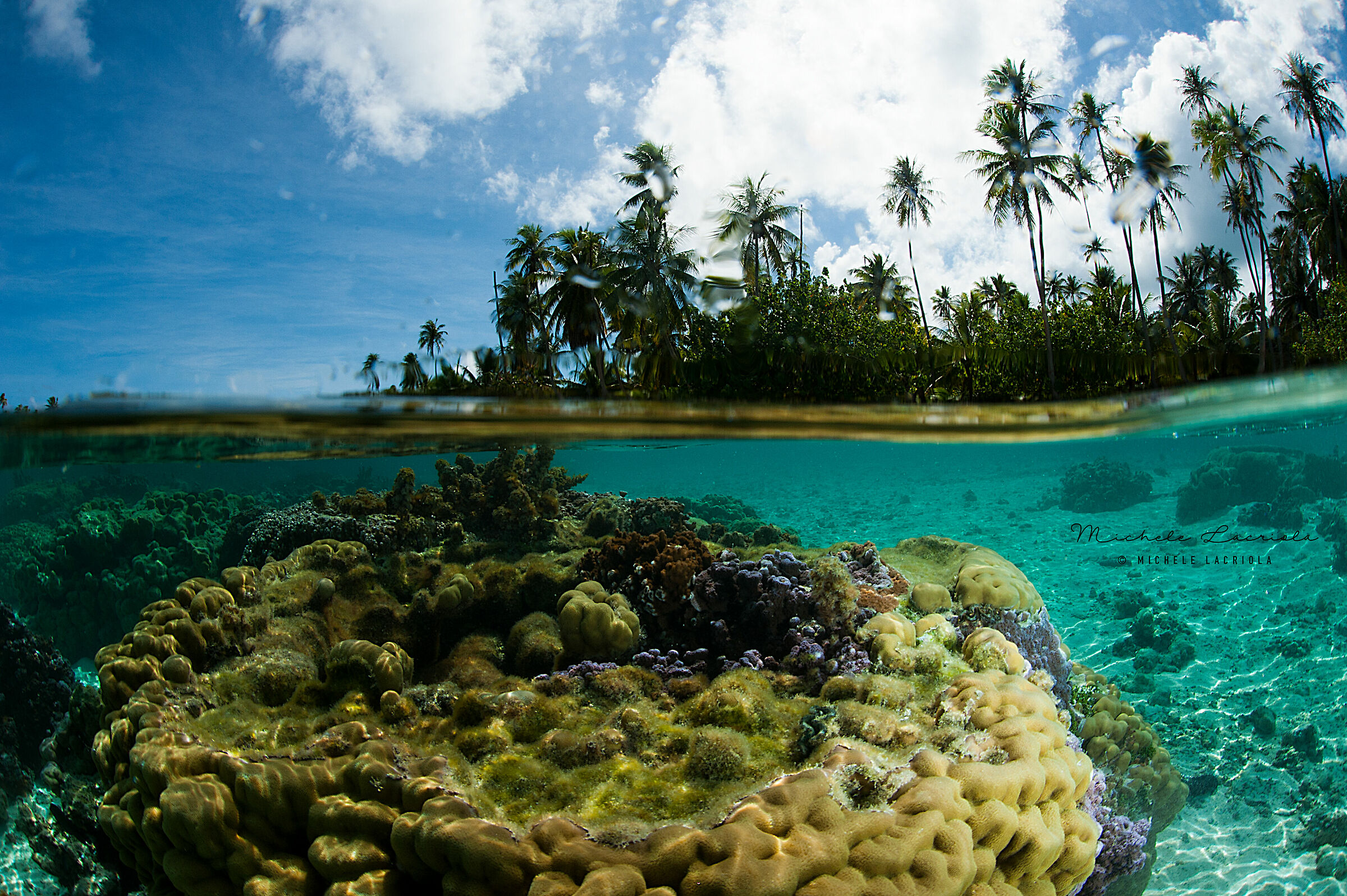 Paesaggio marino_terrestre