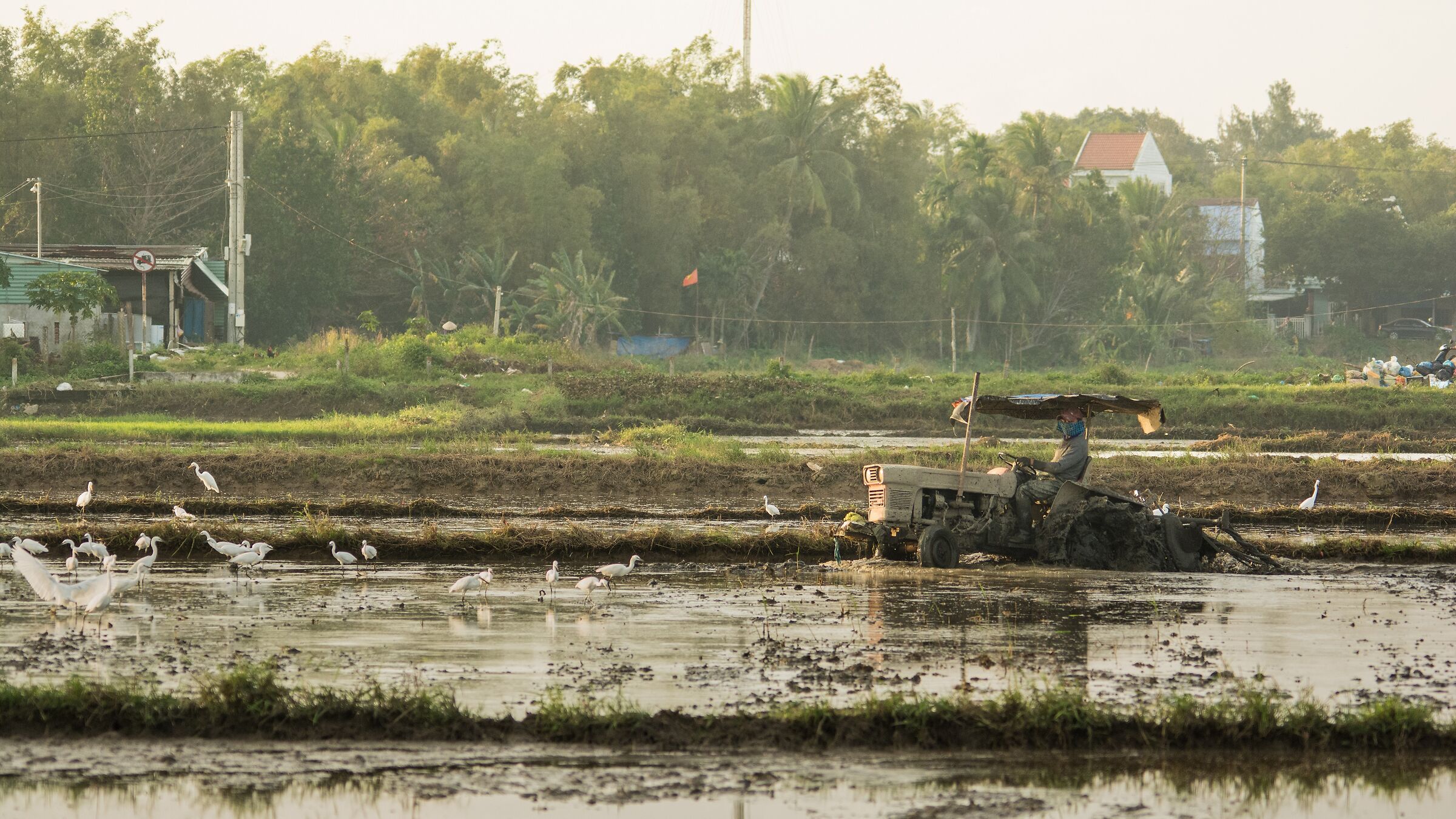 Vietnam-Work in the fields