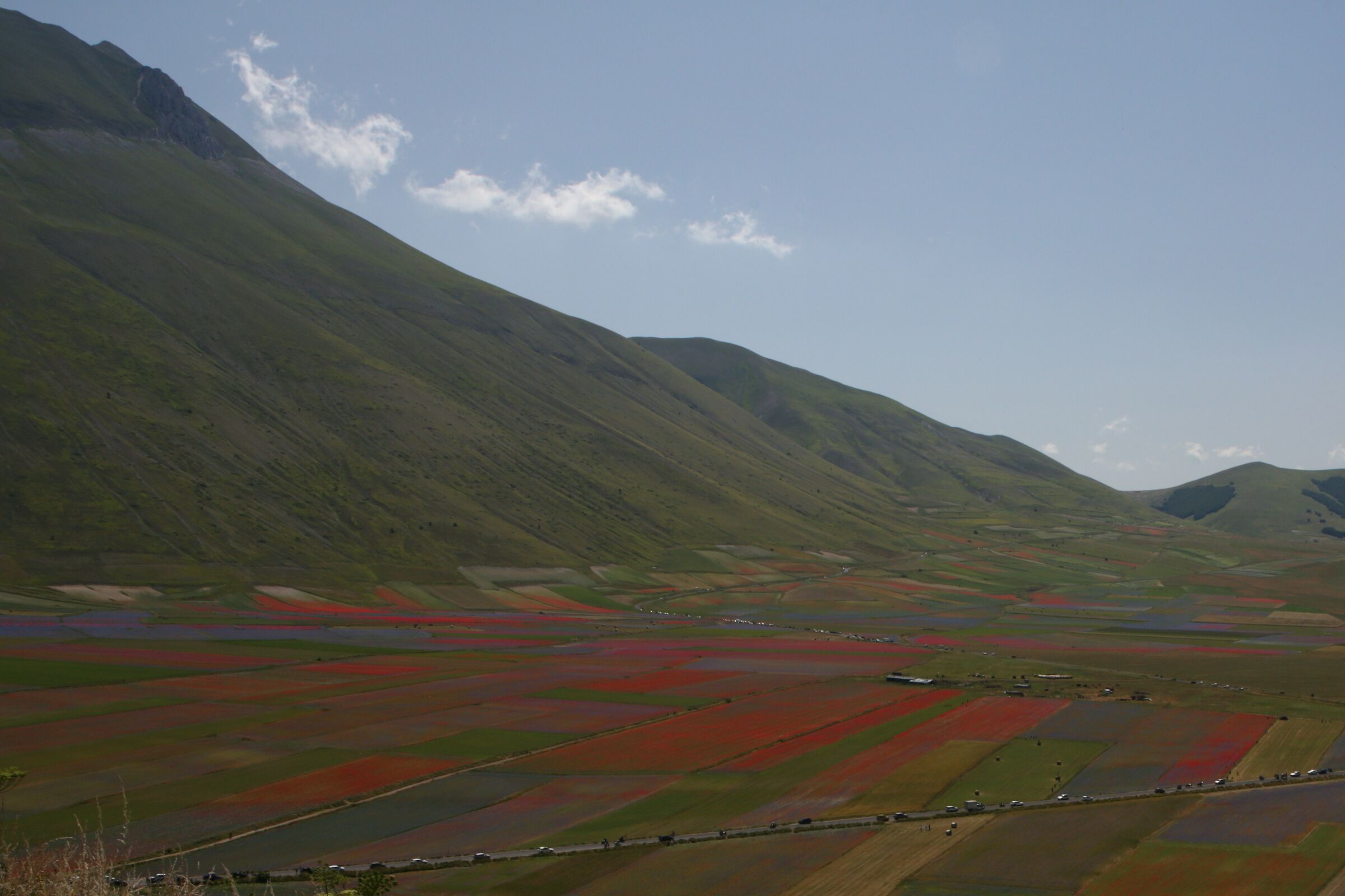 Un italianissimo Plaid Scozzese