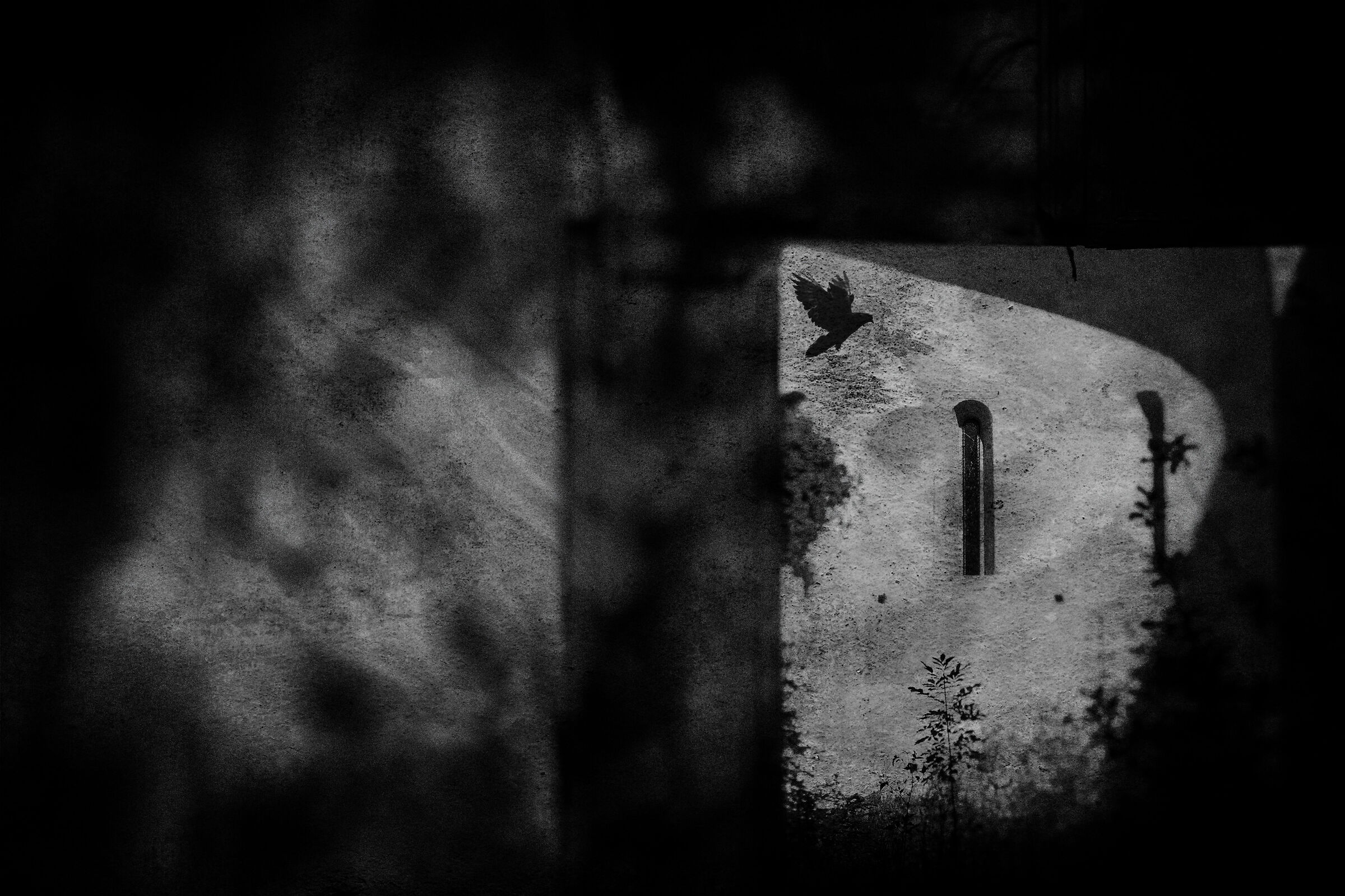 Time is an illusion, death is not conclusion