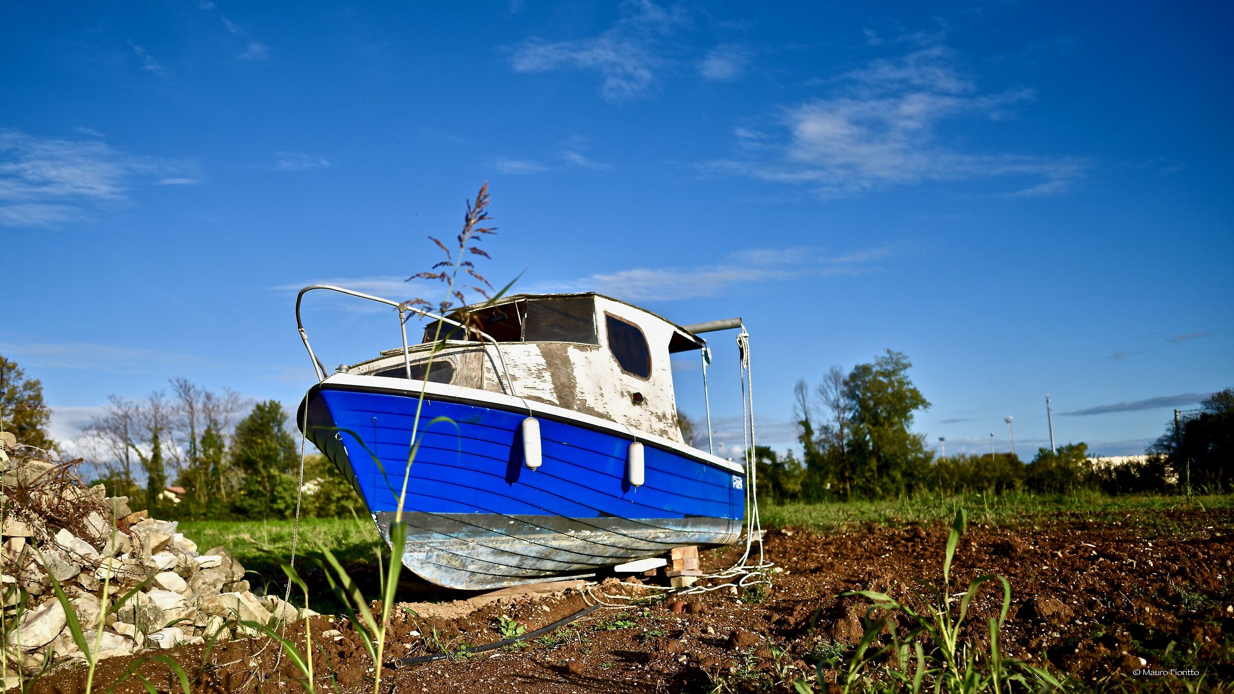 Boat in countryside