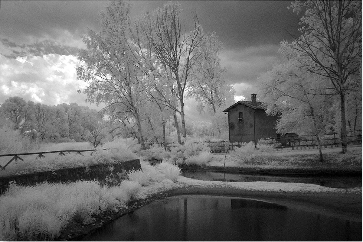 Infrarosso in padule.