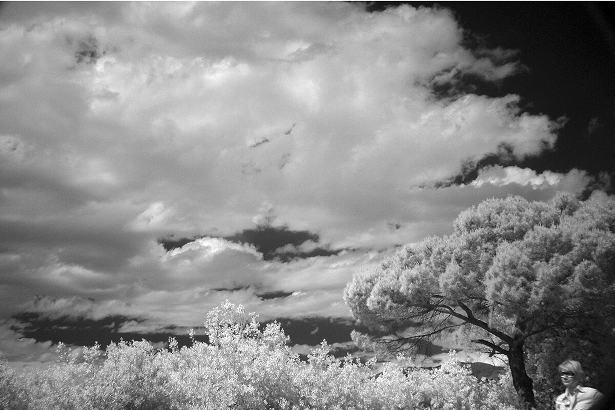 Infrared in Padule.