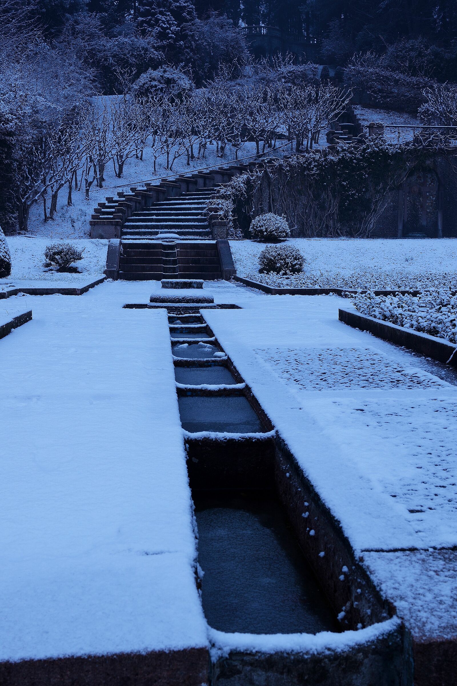 I giardini di Villa Toeplitz