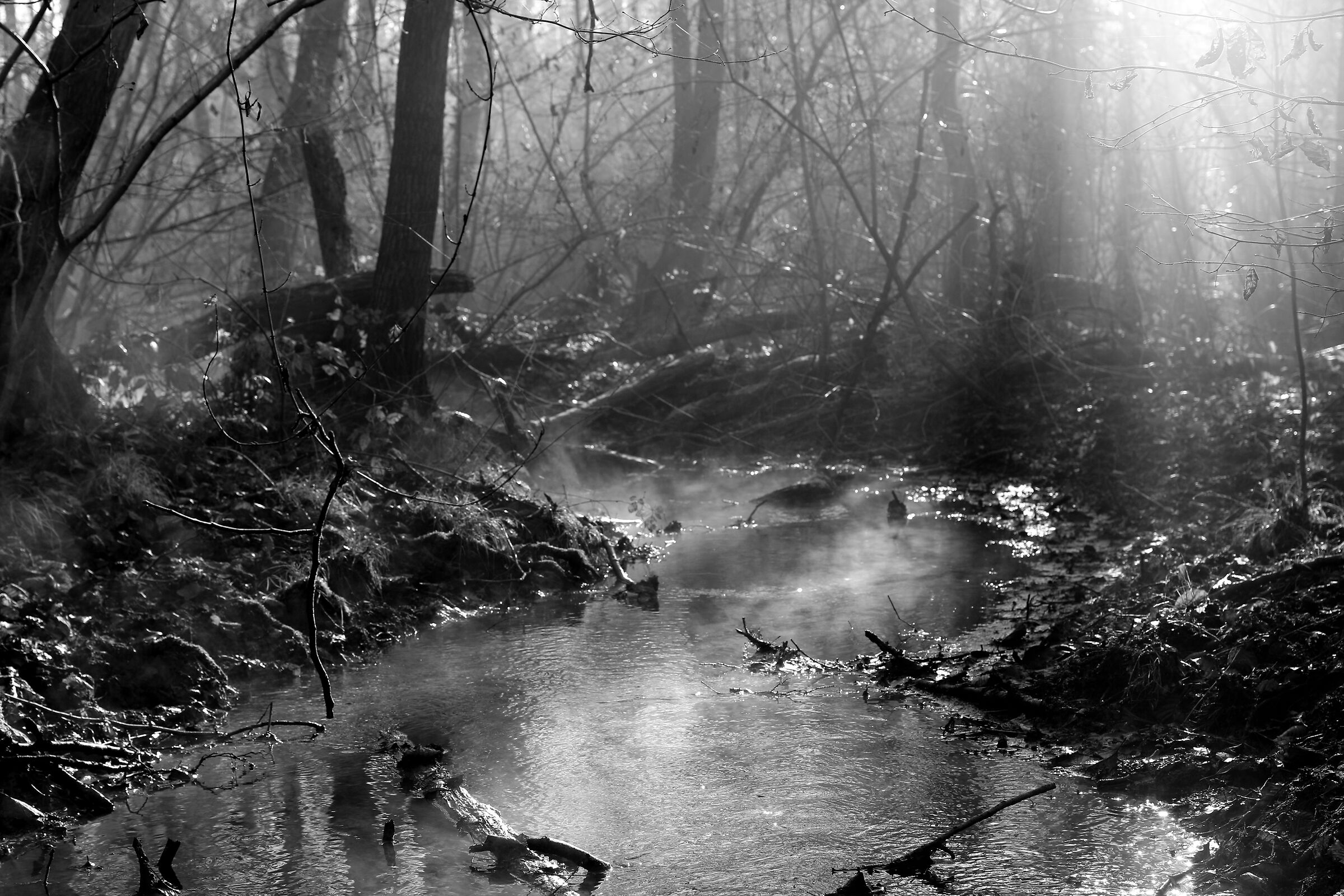 The stream of goblins