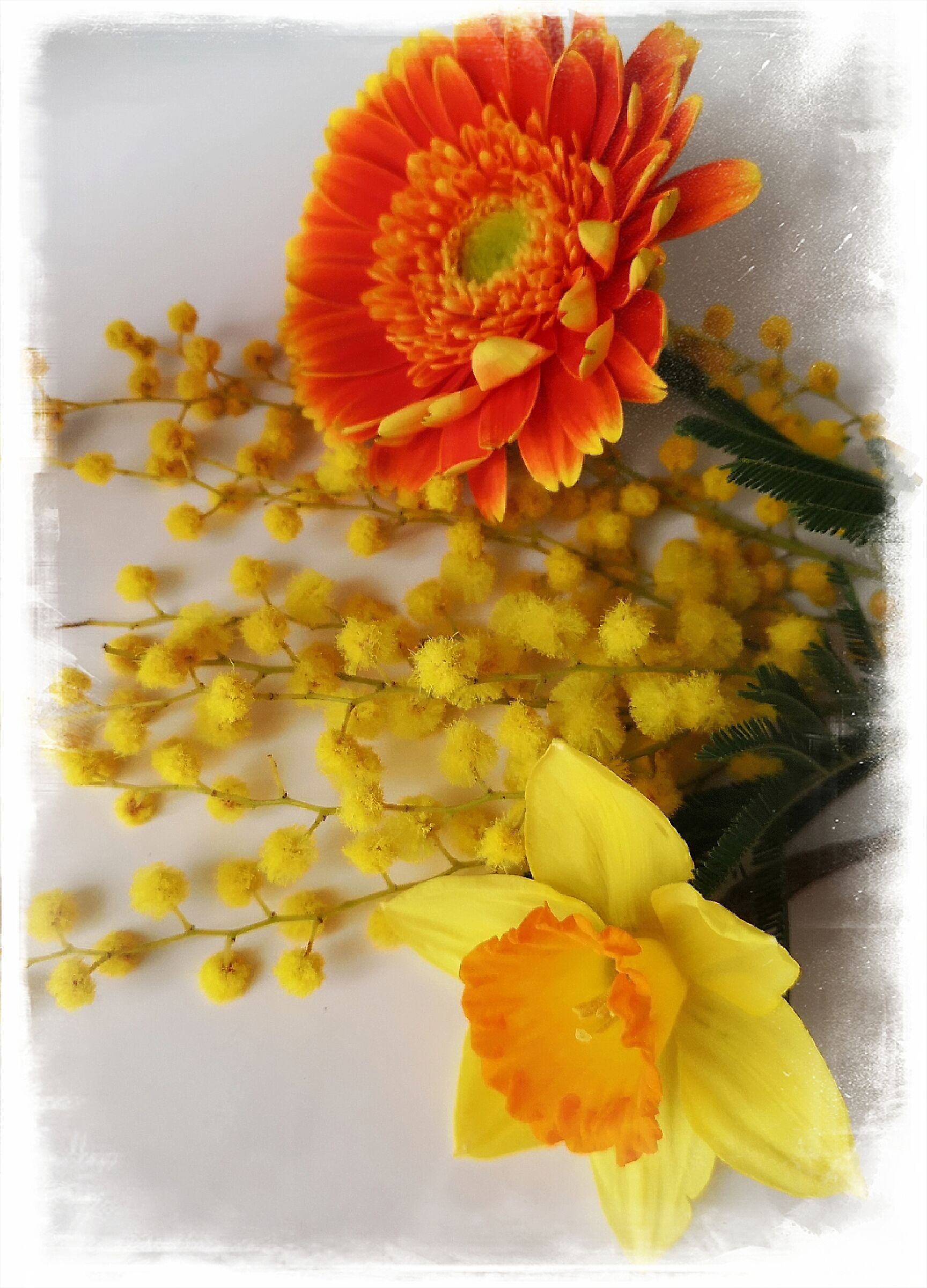 Women... The most beautiful flowers