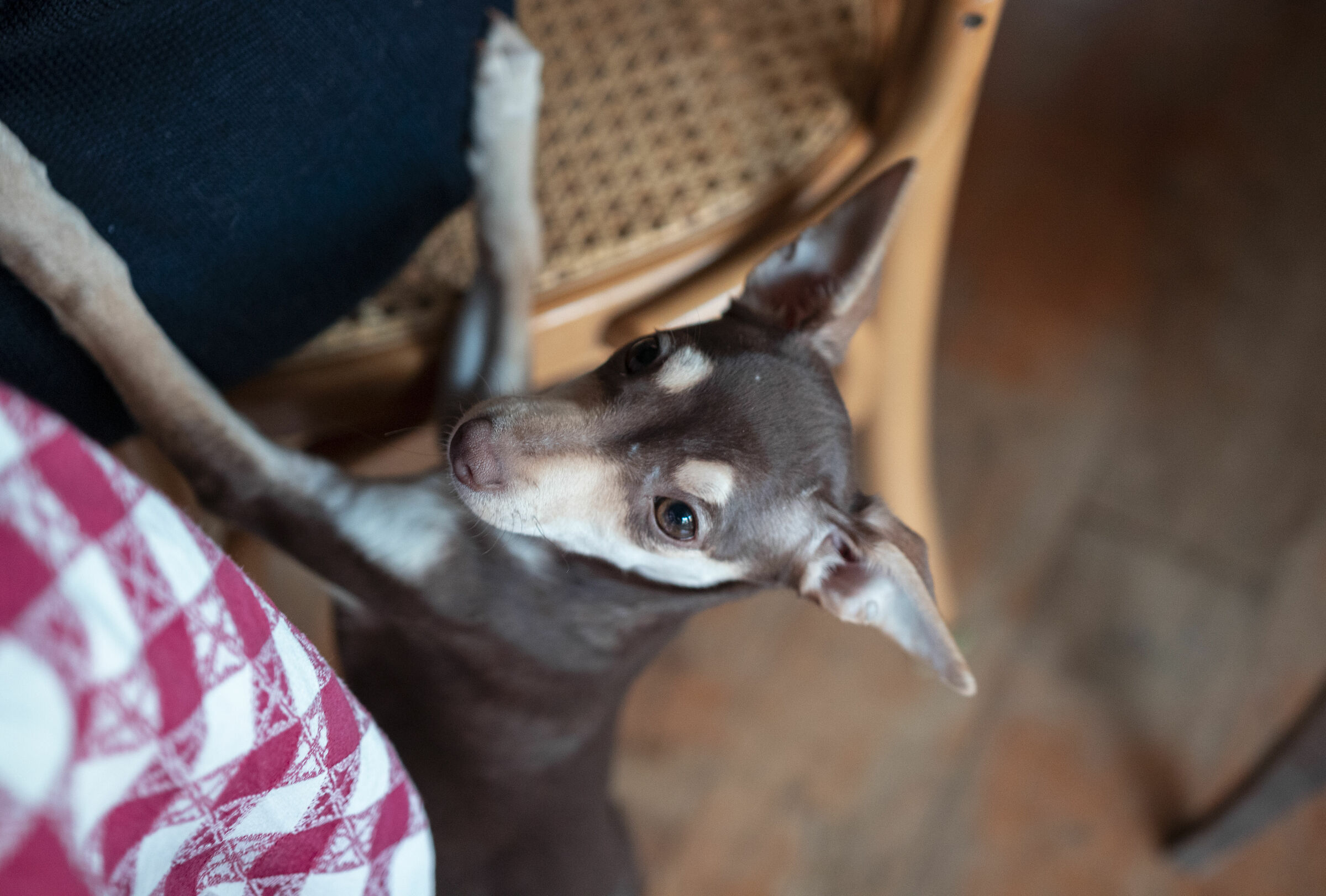 Crumbs from the table..