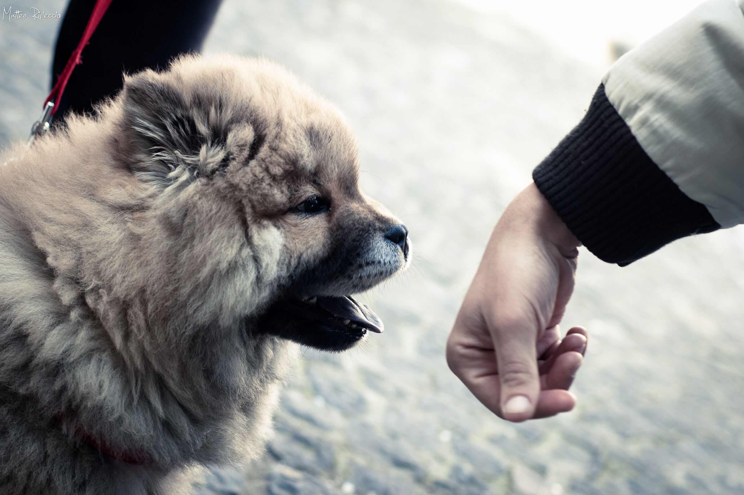 Il primo contatto di Leo...