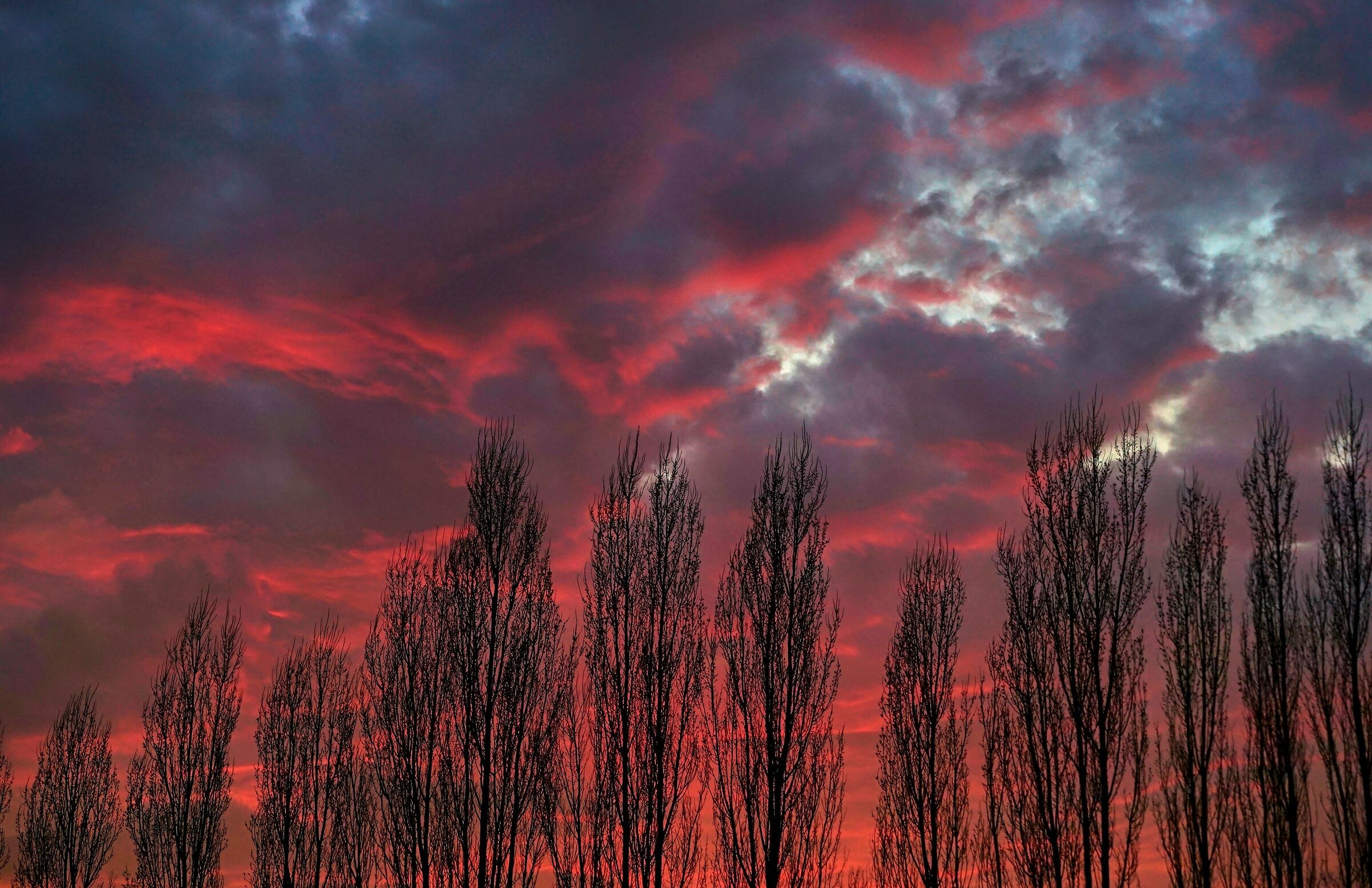 In the evening, suddenly