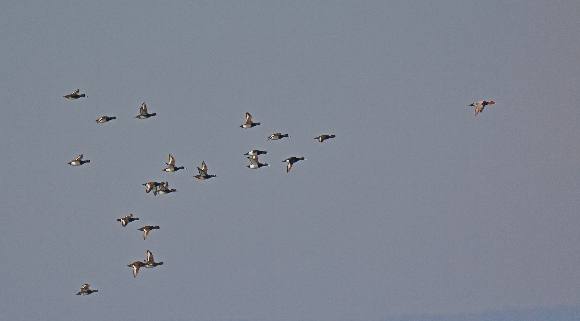 Morette IN Flight-Apripistamiriglione