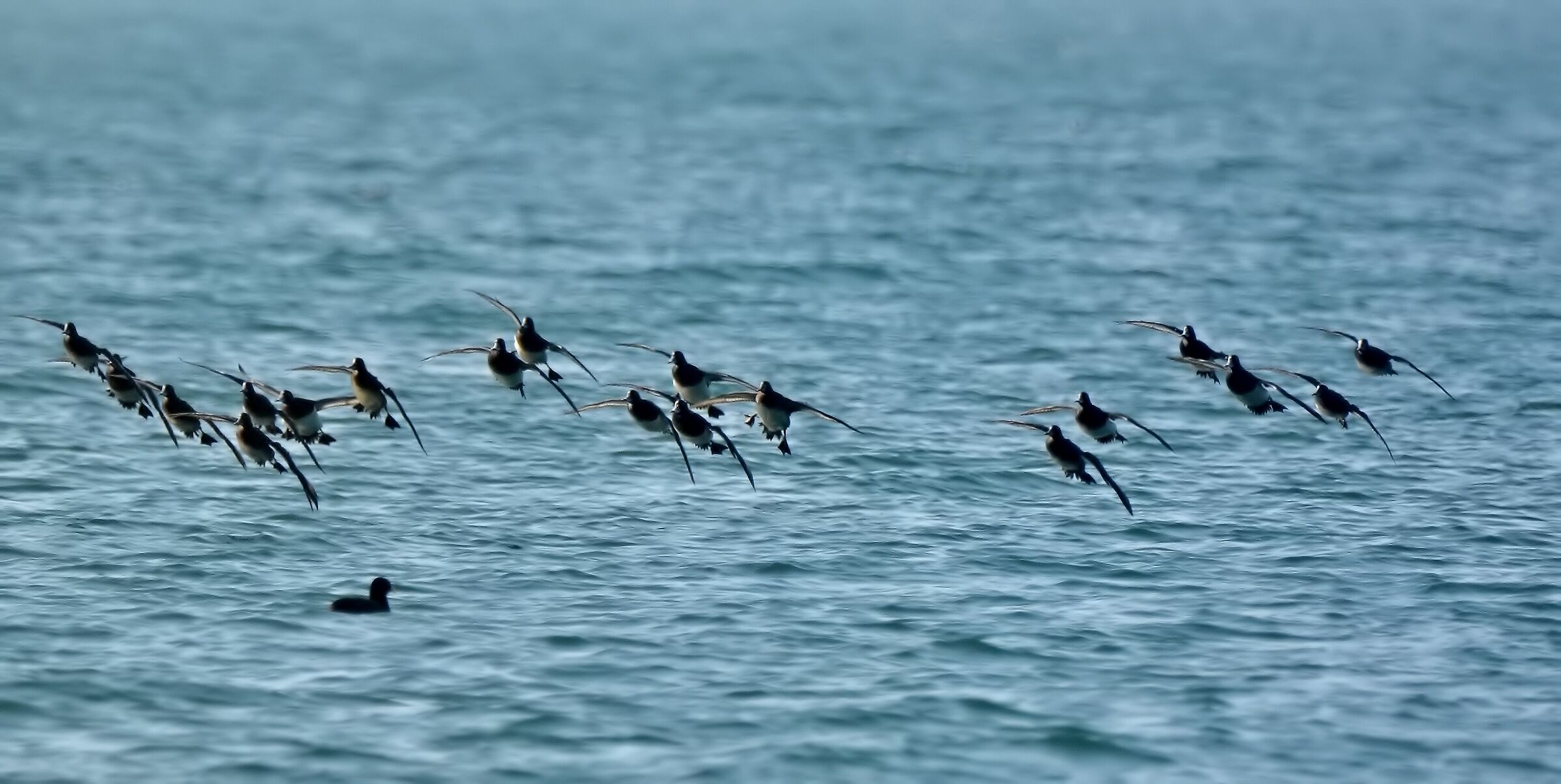 Prepare for landing: cart out!!!