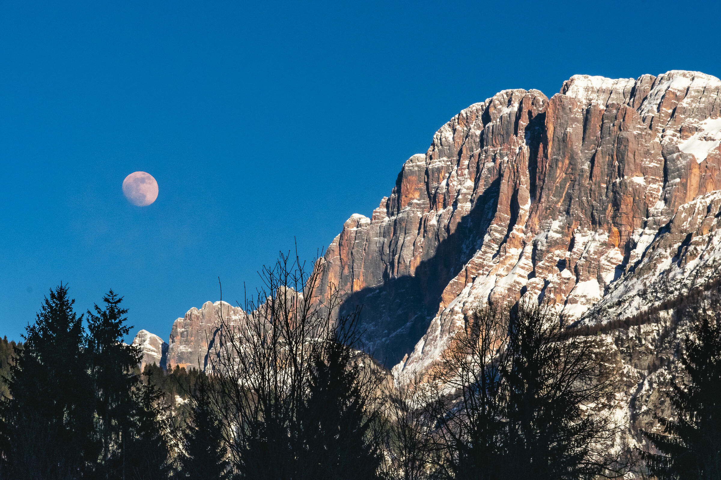 La Civetta e la luna