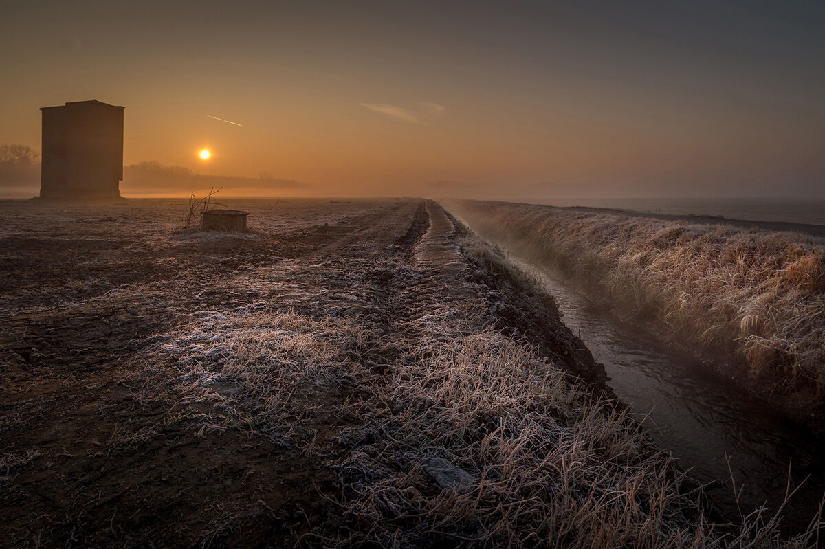 Sunrise on about done rot