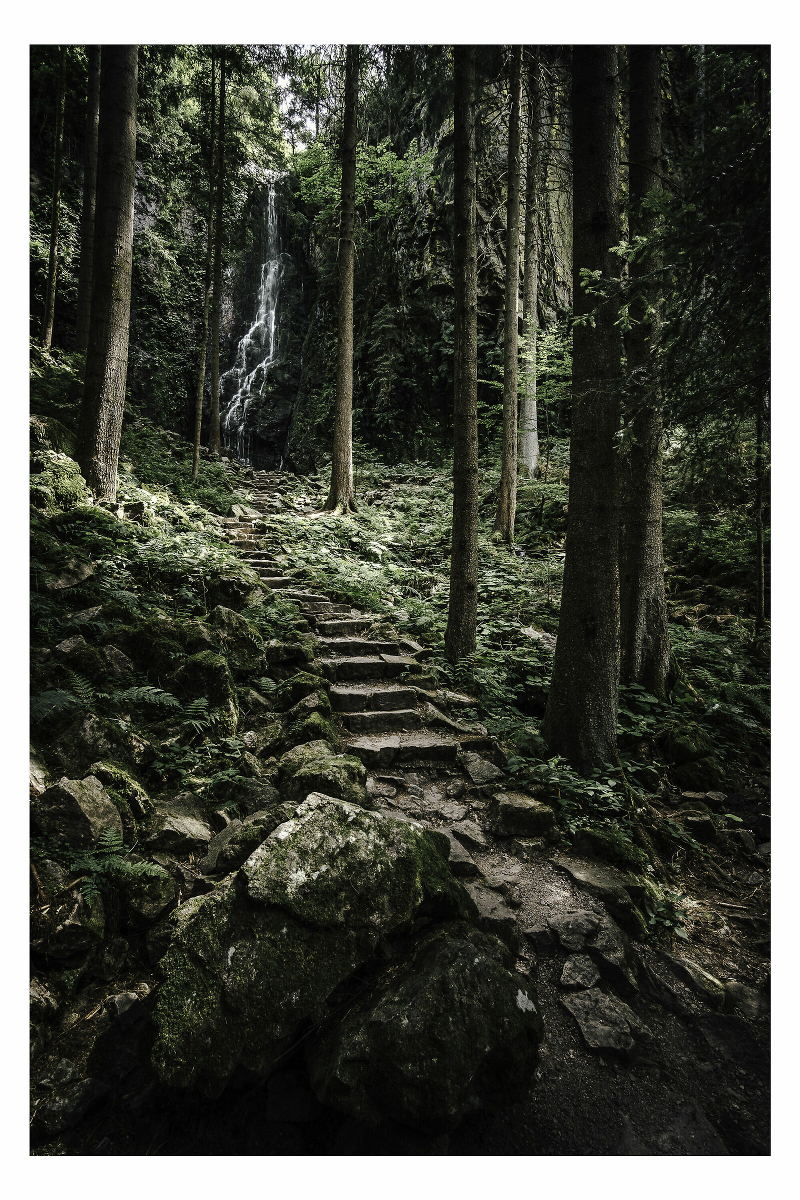 Cascate Burgbach - Foresta Nera. Germania.