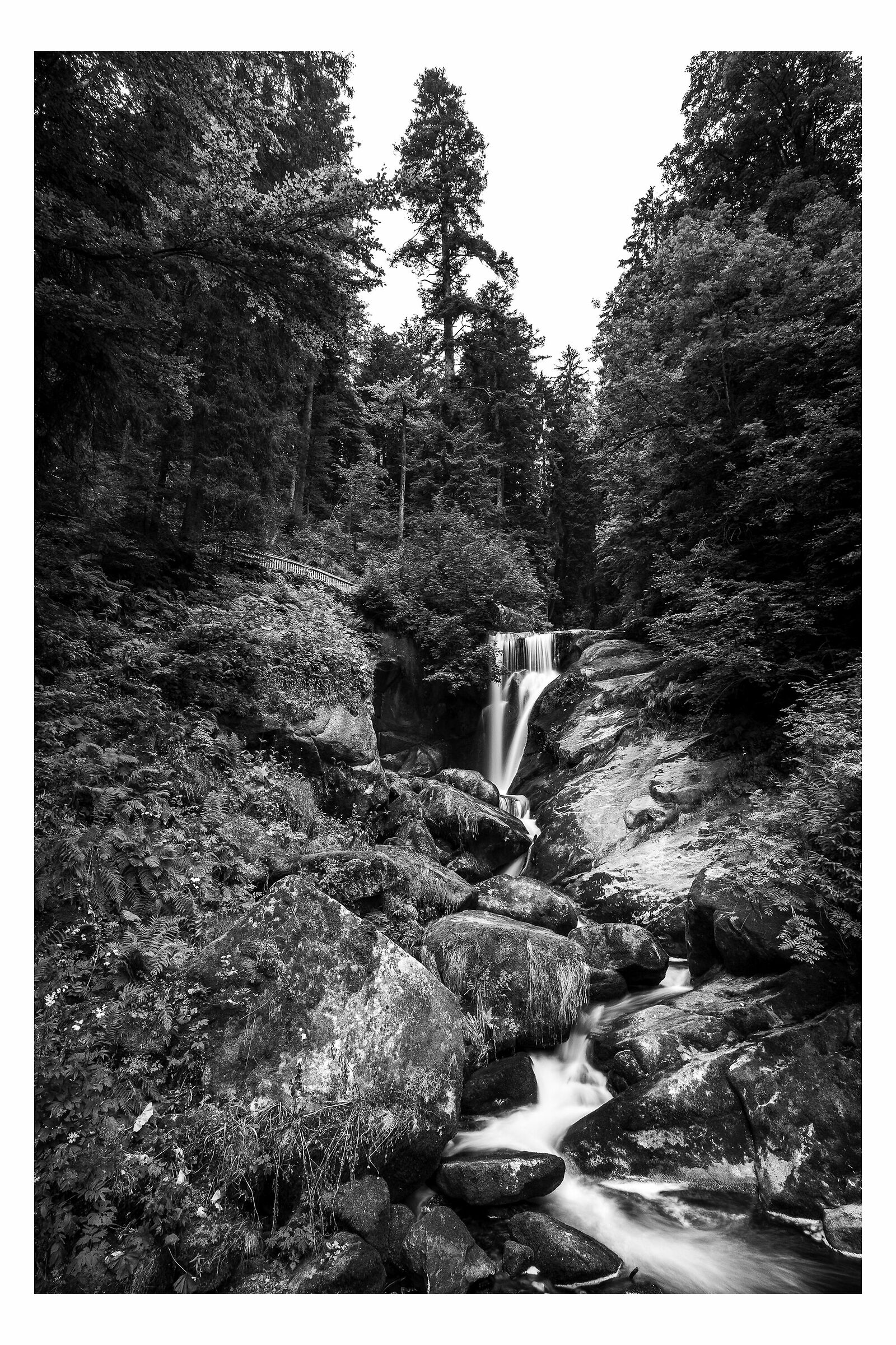Cascate Triberg - Foresta nera. Germania.