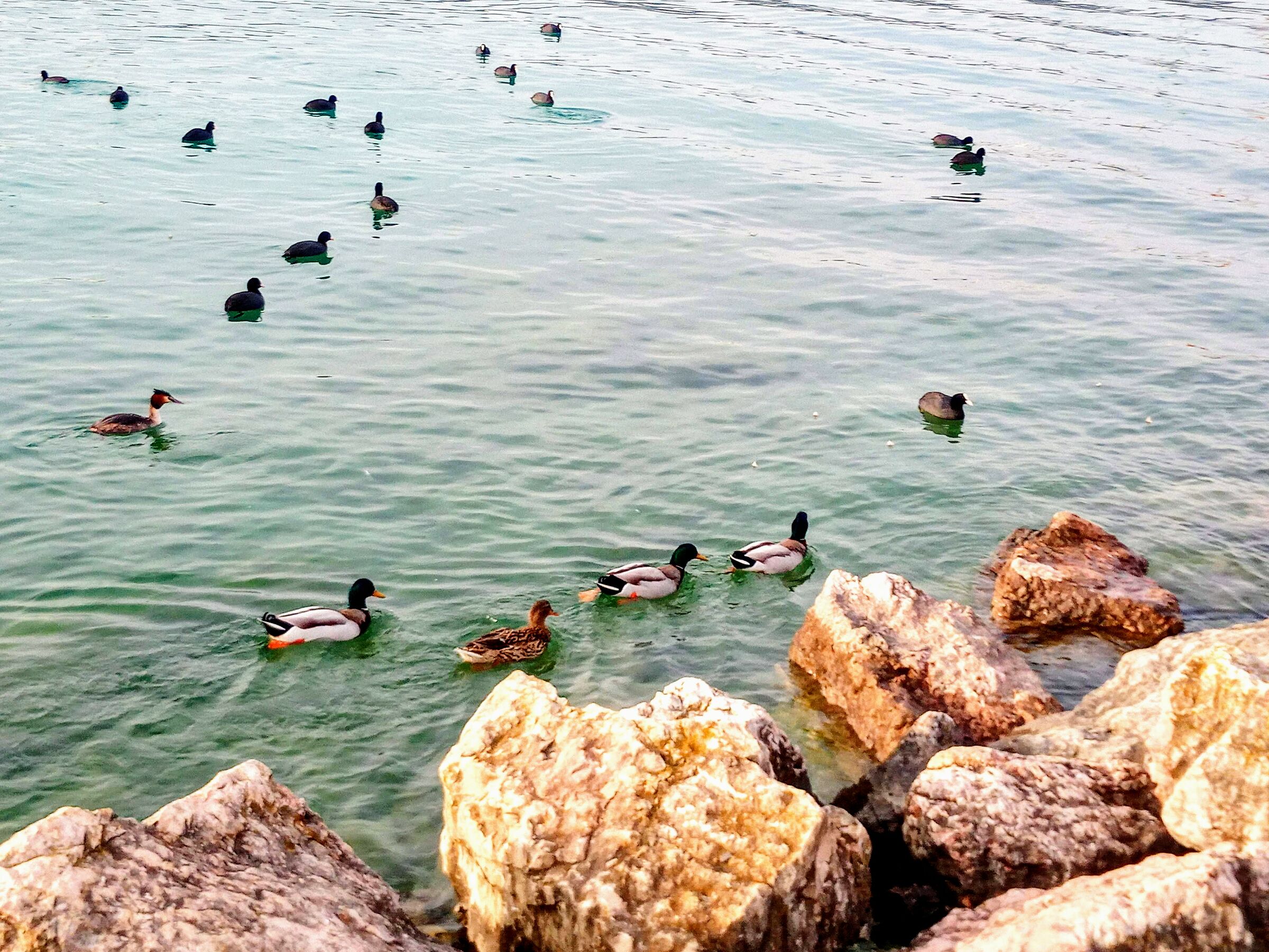 Germani a .... spasso