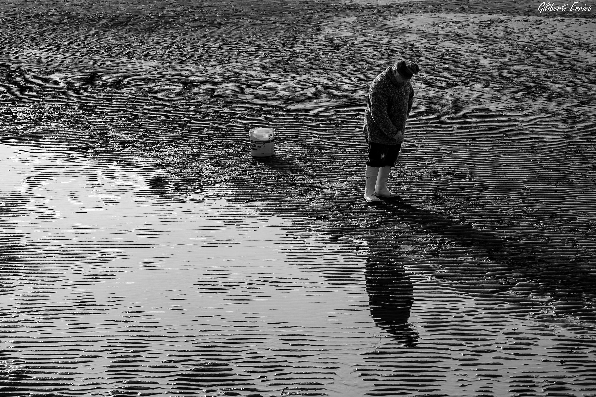 Amatore del Cannolicchio