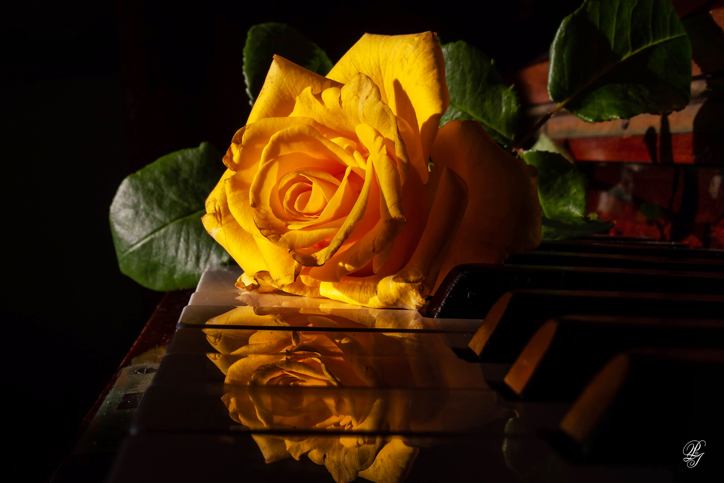 Reflections on the piano