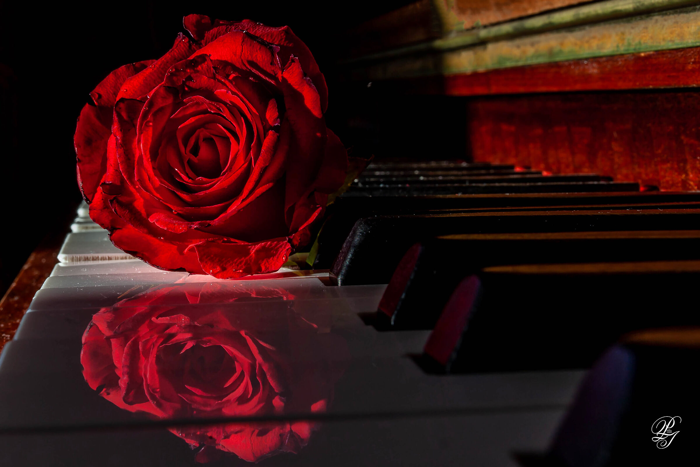 Reflections on the piano