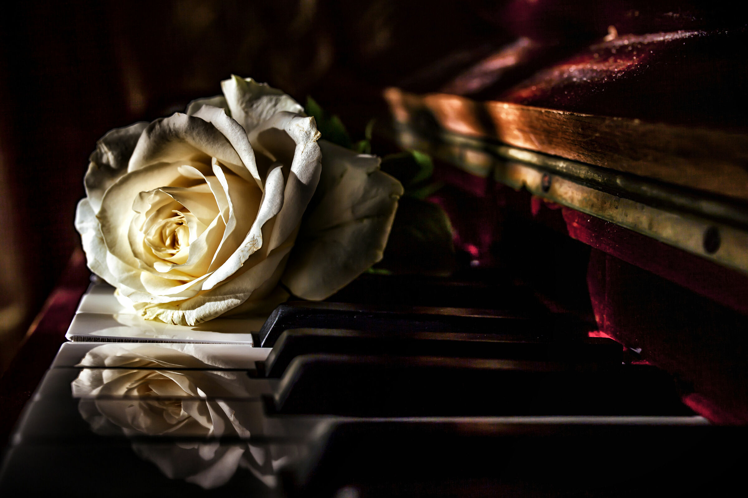 Reflections on the piano