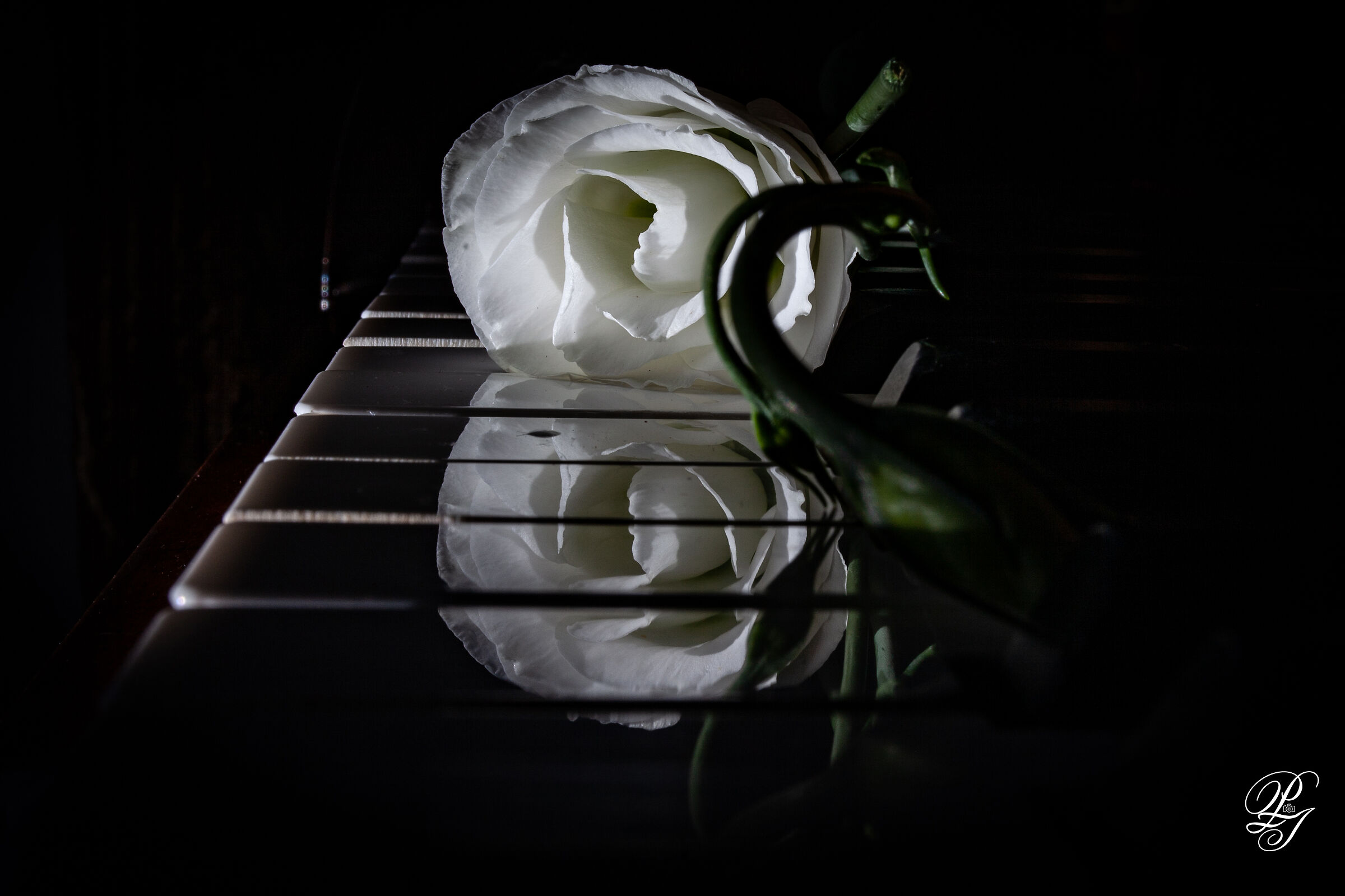 Reflections on the piano