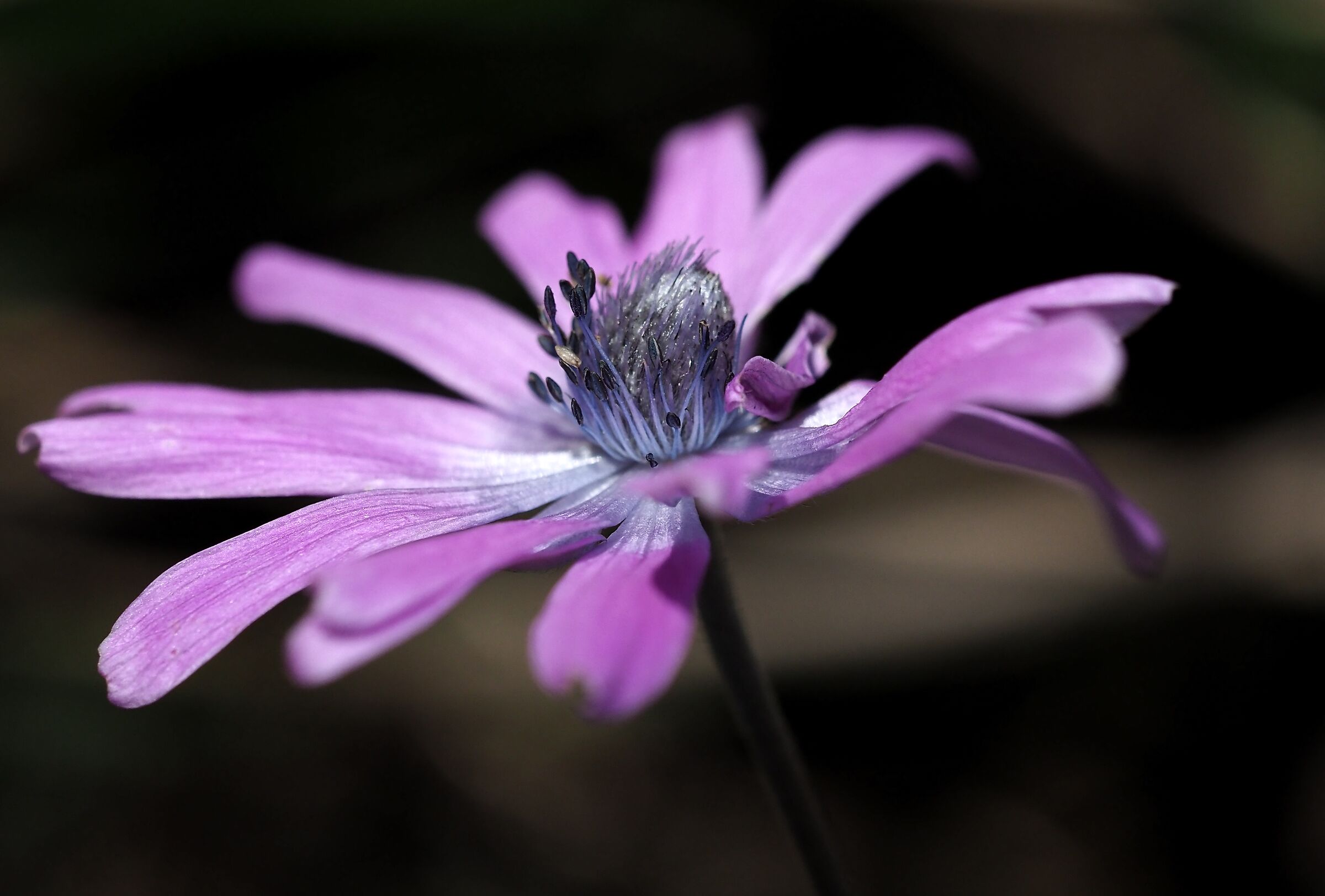 Untitled Photo