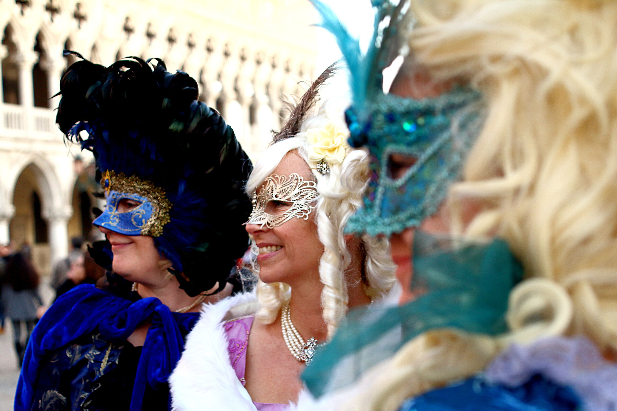 The beautiful Venetian Blinds