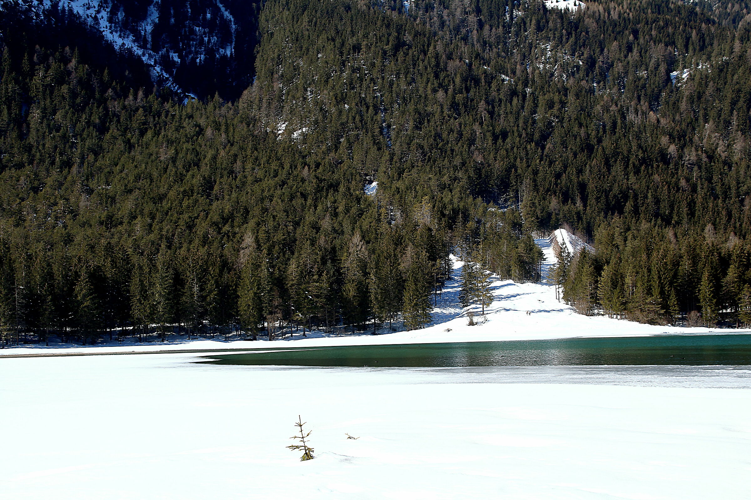 The lake and the ice