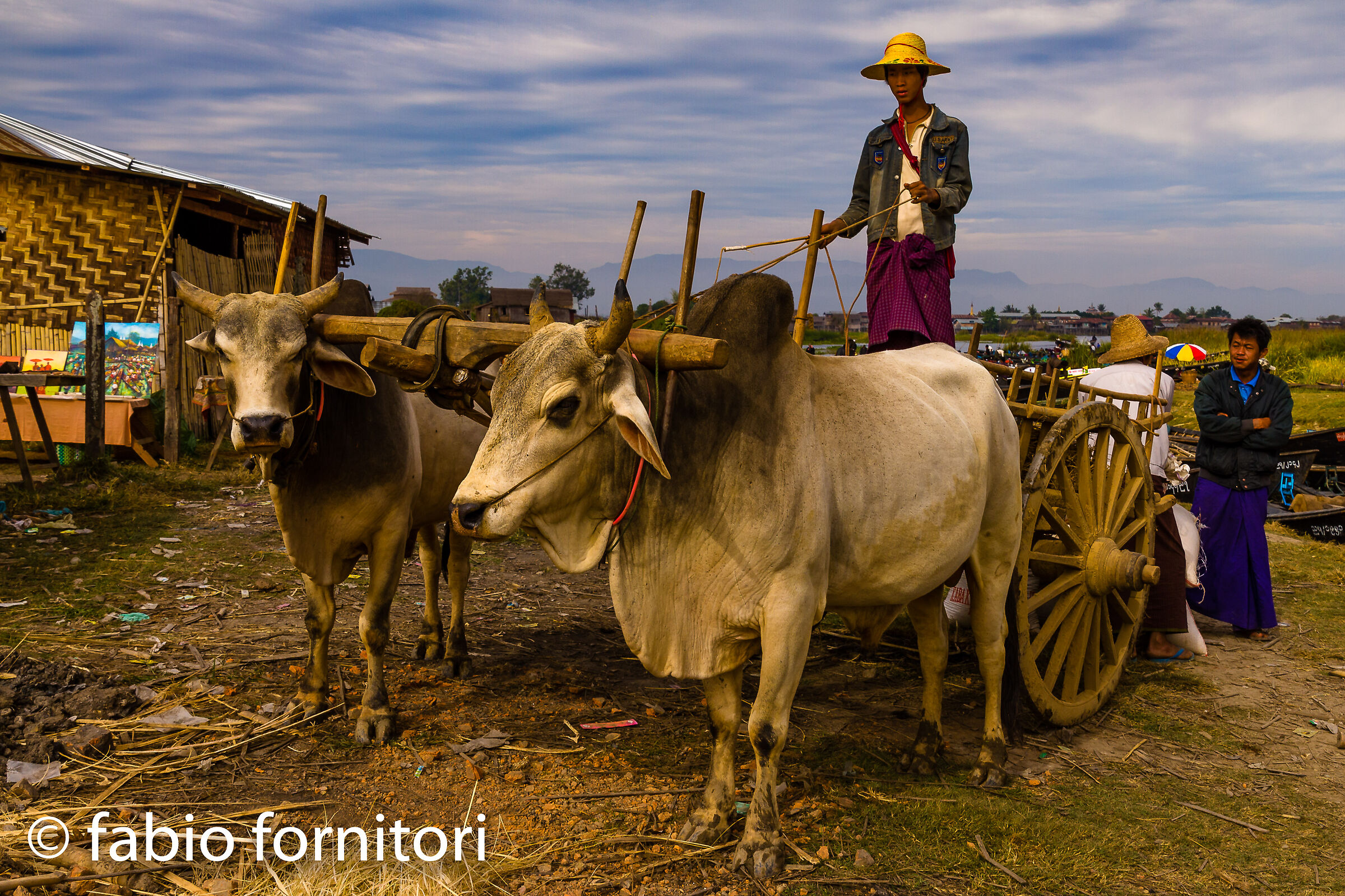 Burma by Boat , Around Inle 6, Myanmar, 2009