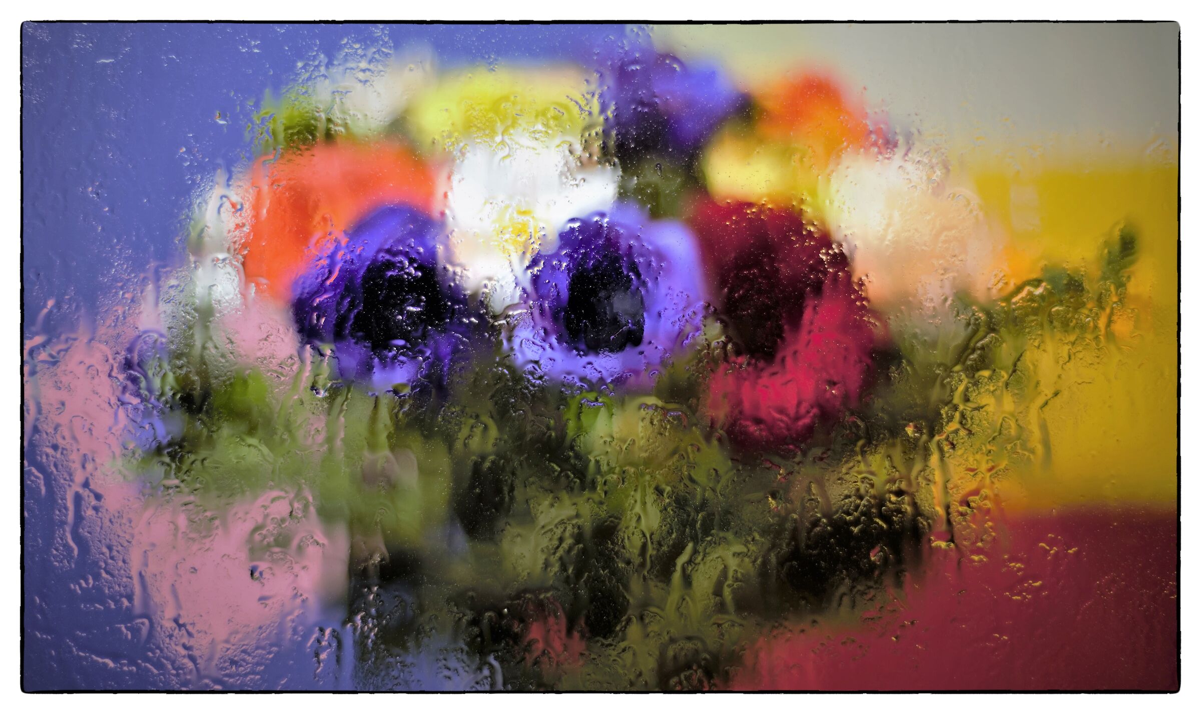 Wet glass and flowers (tests)