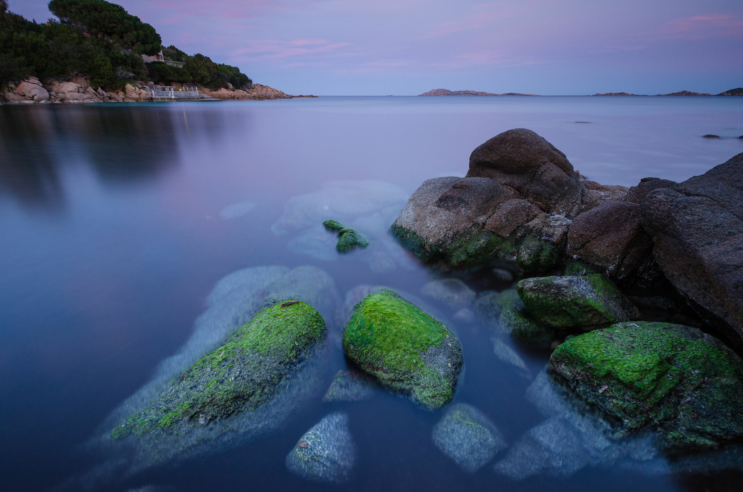 A sunset of the shoulders