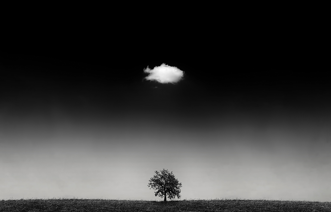 The cloud and the tree