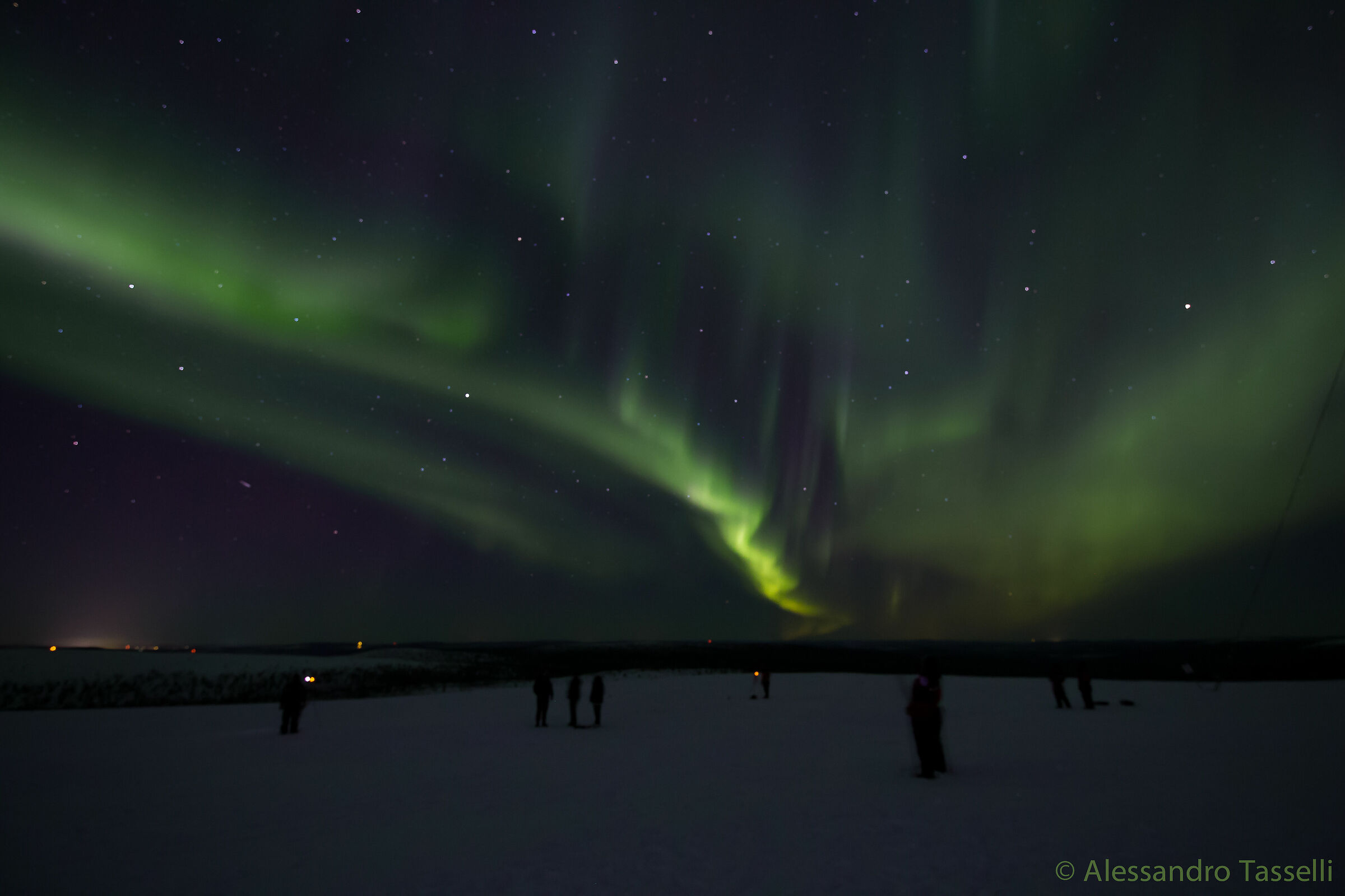I giochi della Volpe