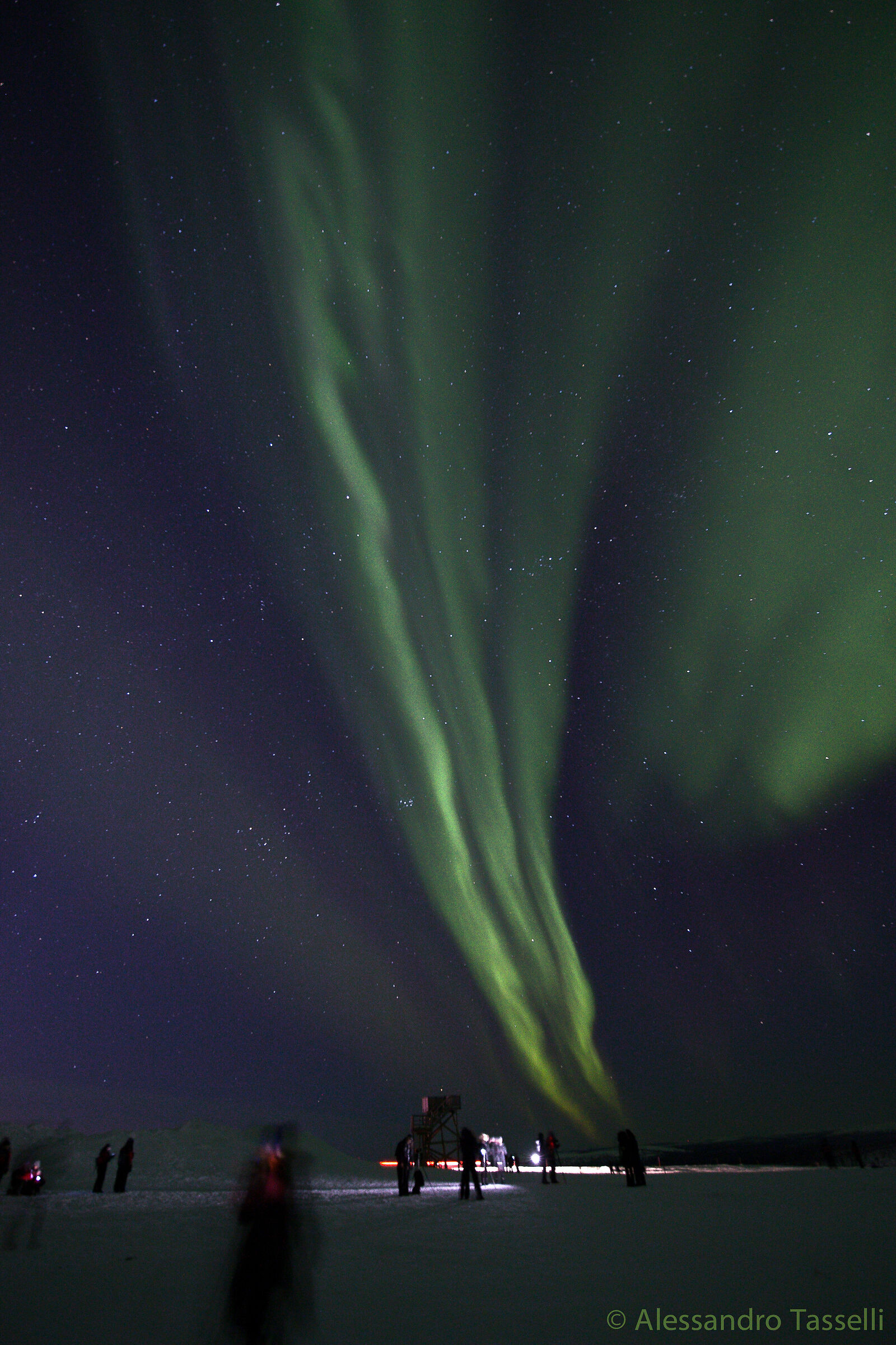 I giochi della Volpe