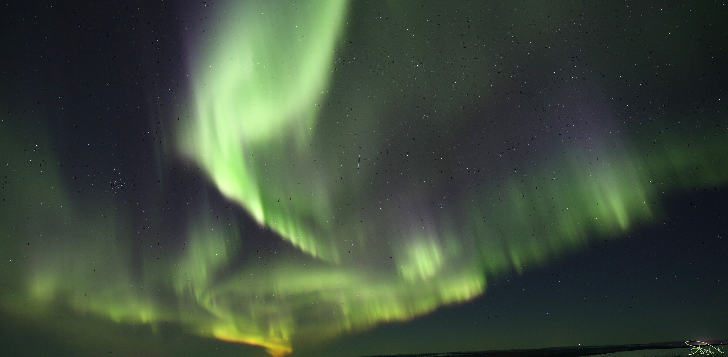 I giochi della Volpe... e le stelle giocano con lei