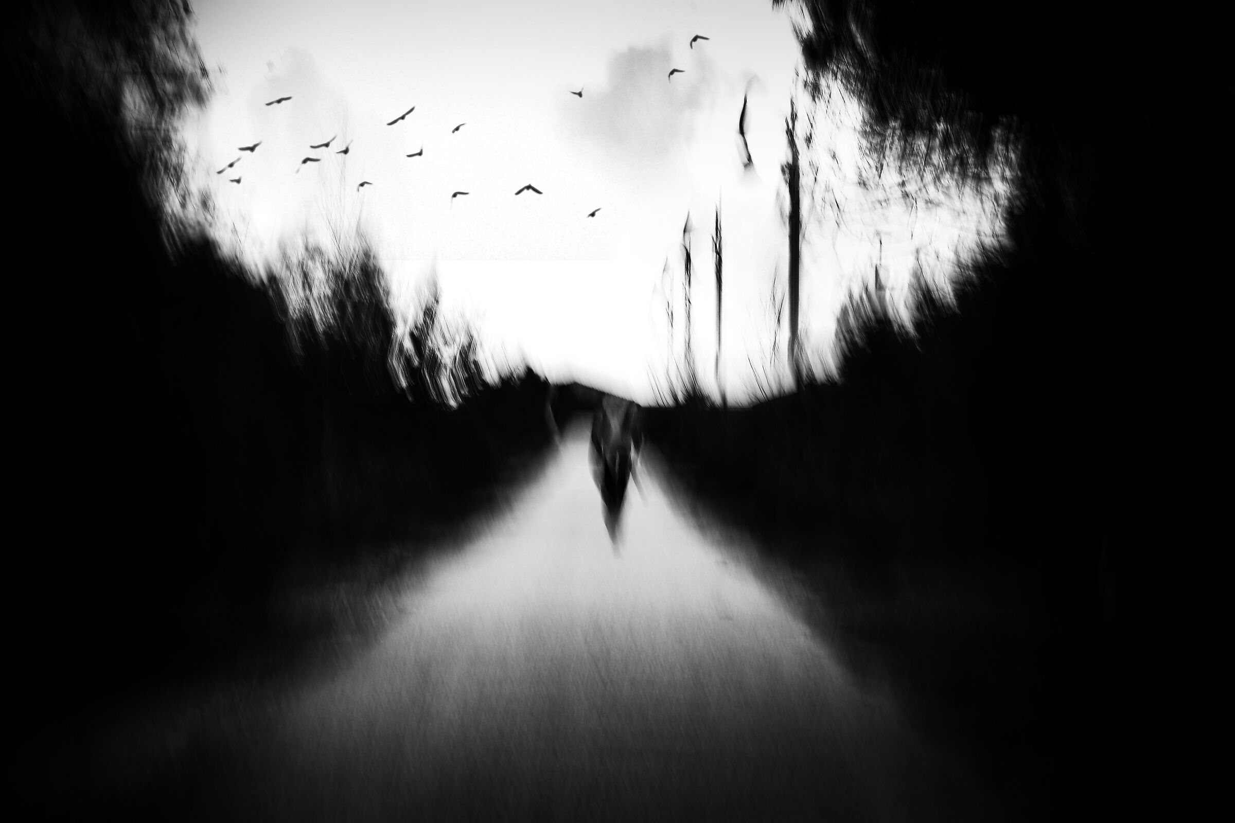 Disconnection system takes control