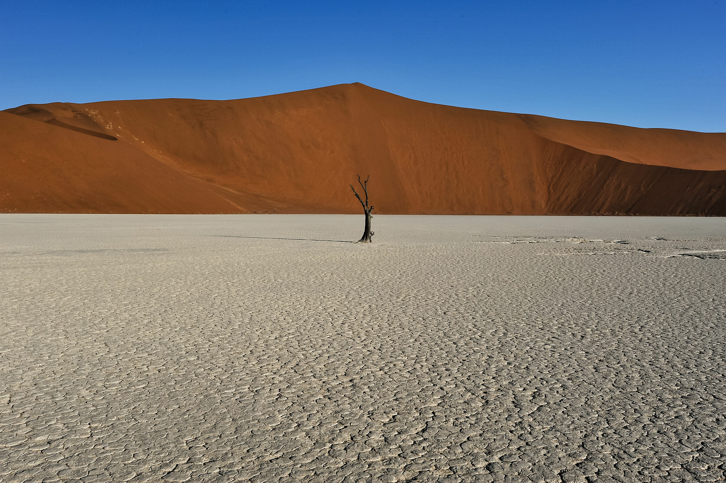 Dead Vlei