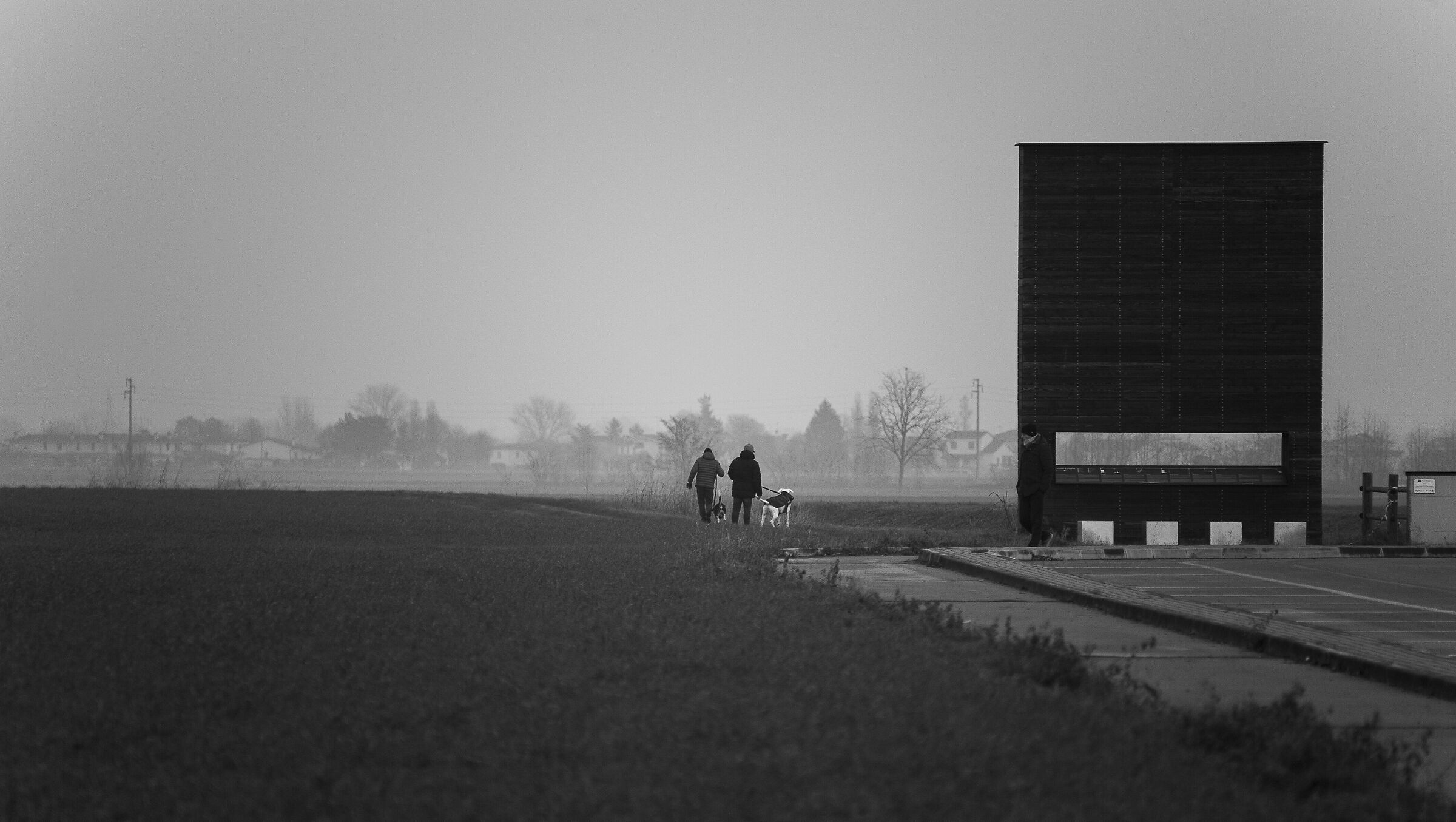 Taking the dogs for a walk