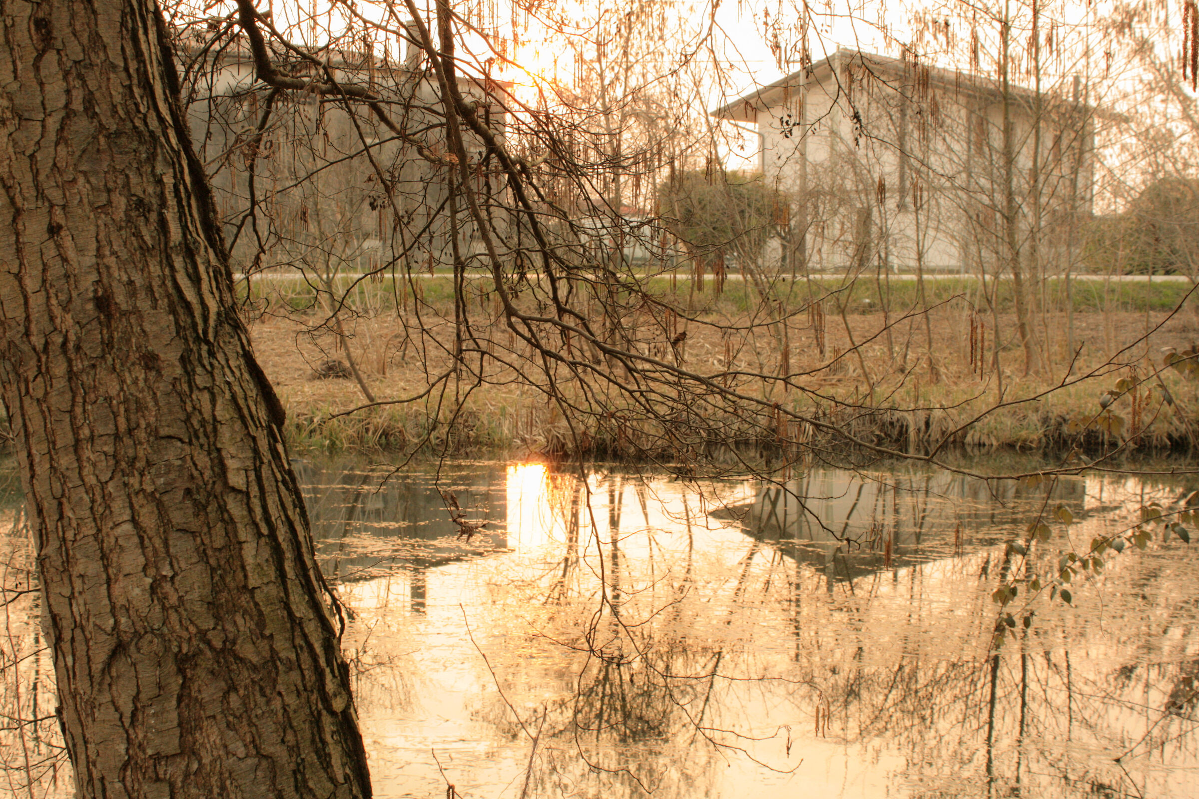 Oasi di Cervara (tv)