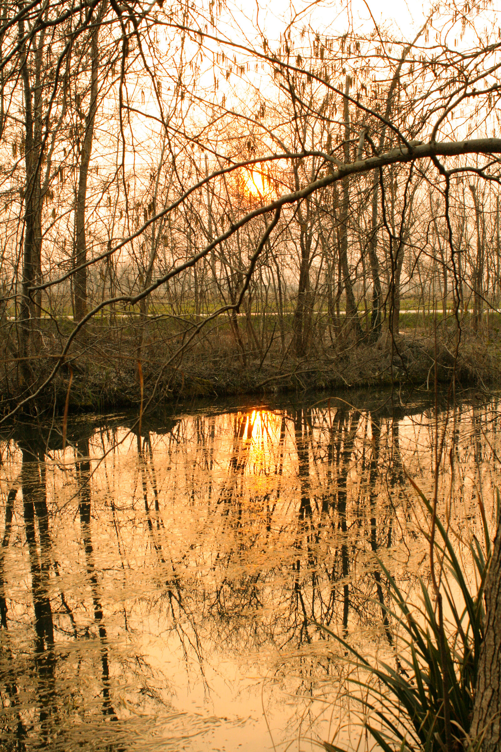 Oasi di Cervara (tv)