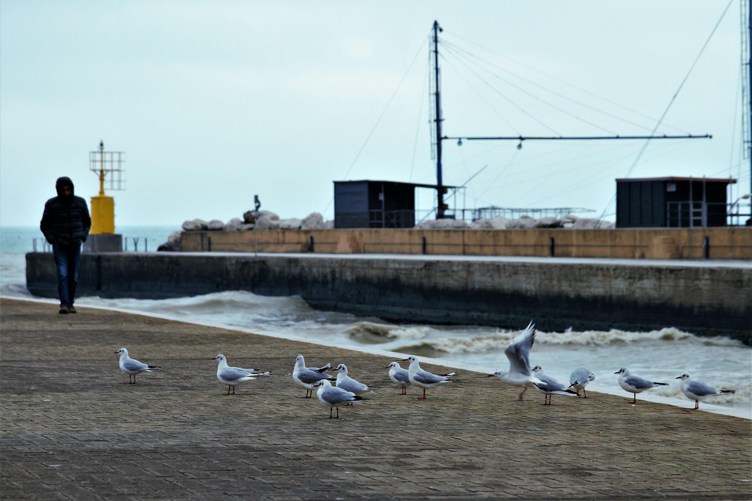 return home at night