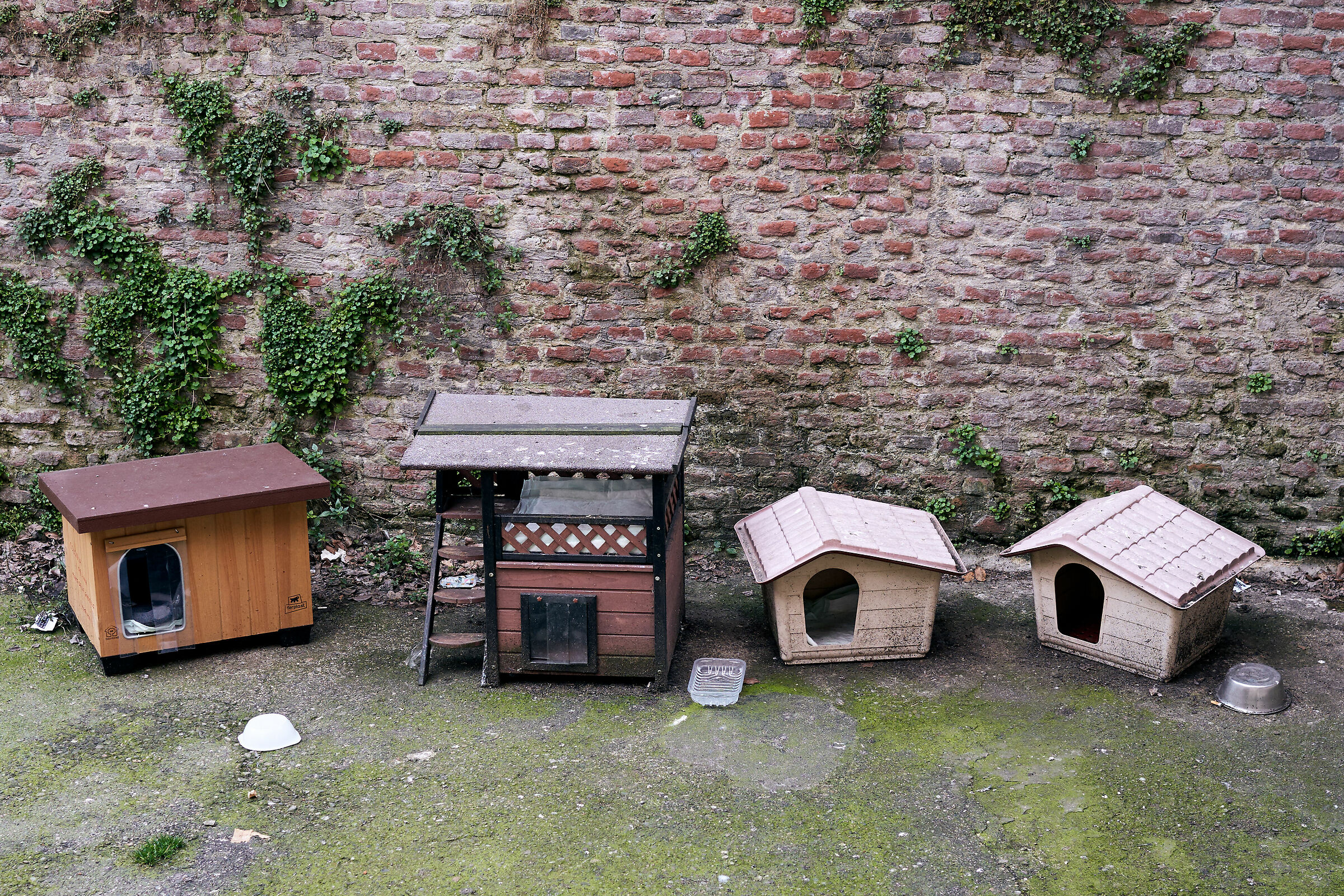 Milan Cat Shelters