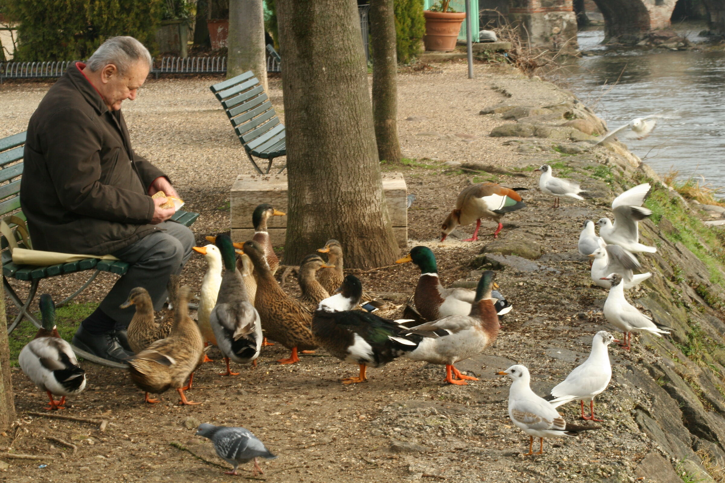 Small gestures of daily life in Borghetto sul Mincio