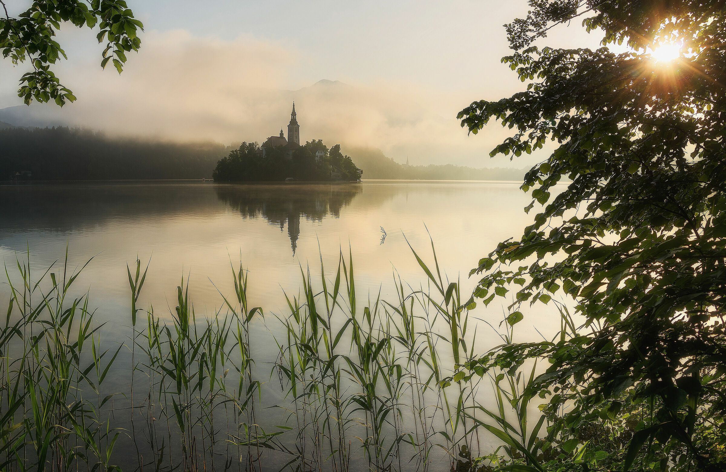 Mattina d'estate al lago di Bled